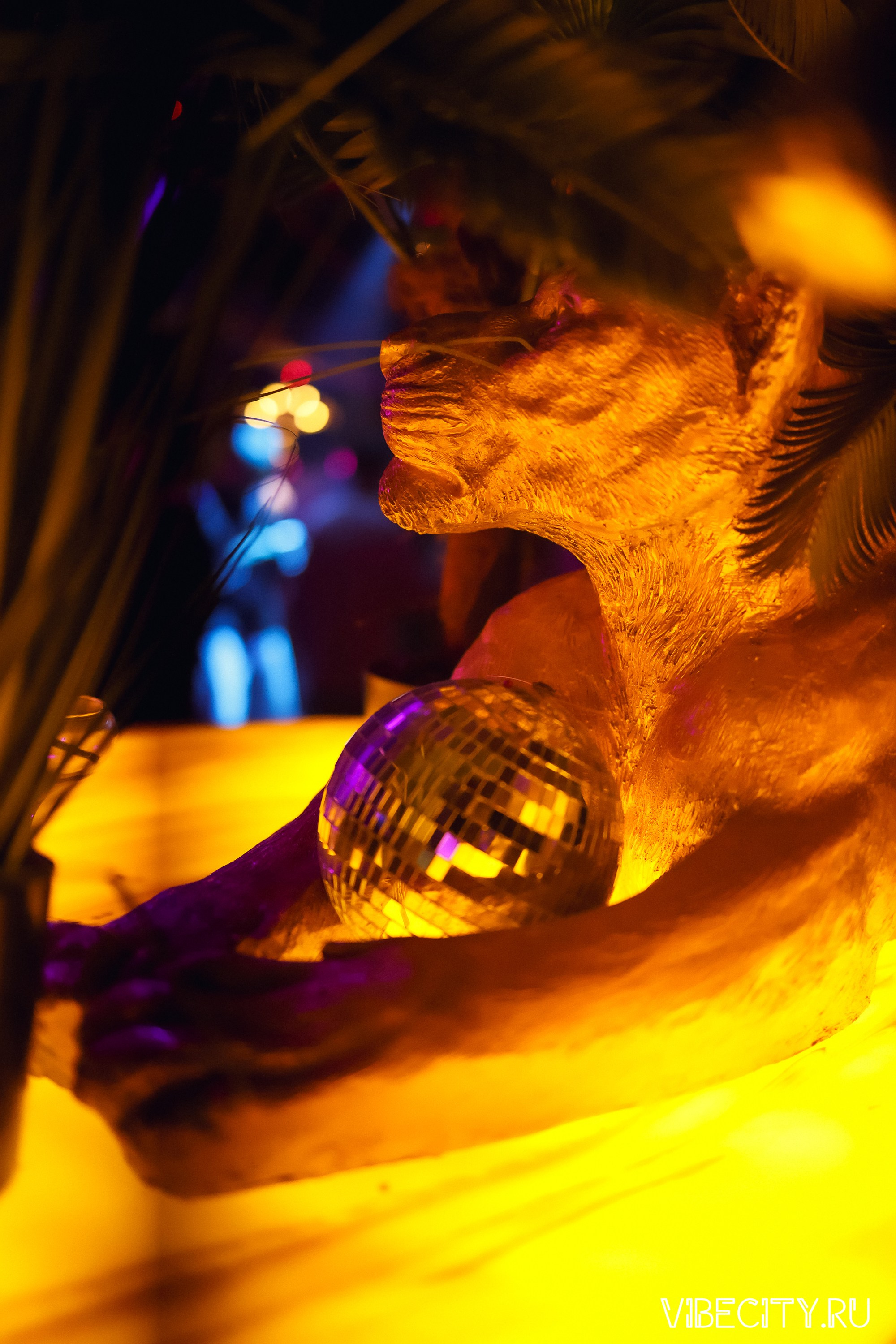 DOUBLE U. VIBECITY.RU Вайб Сити Ру Фоторепортажи Фотоотчеты Калининград