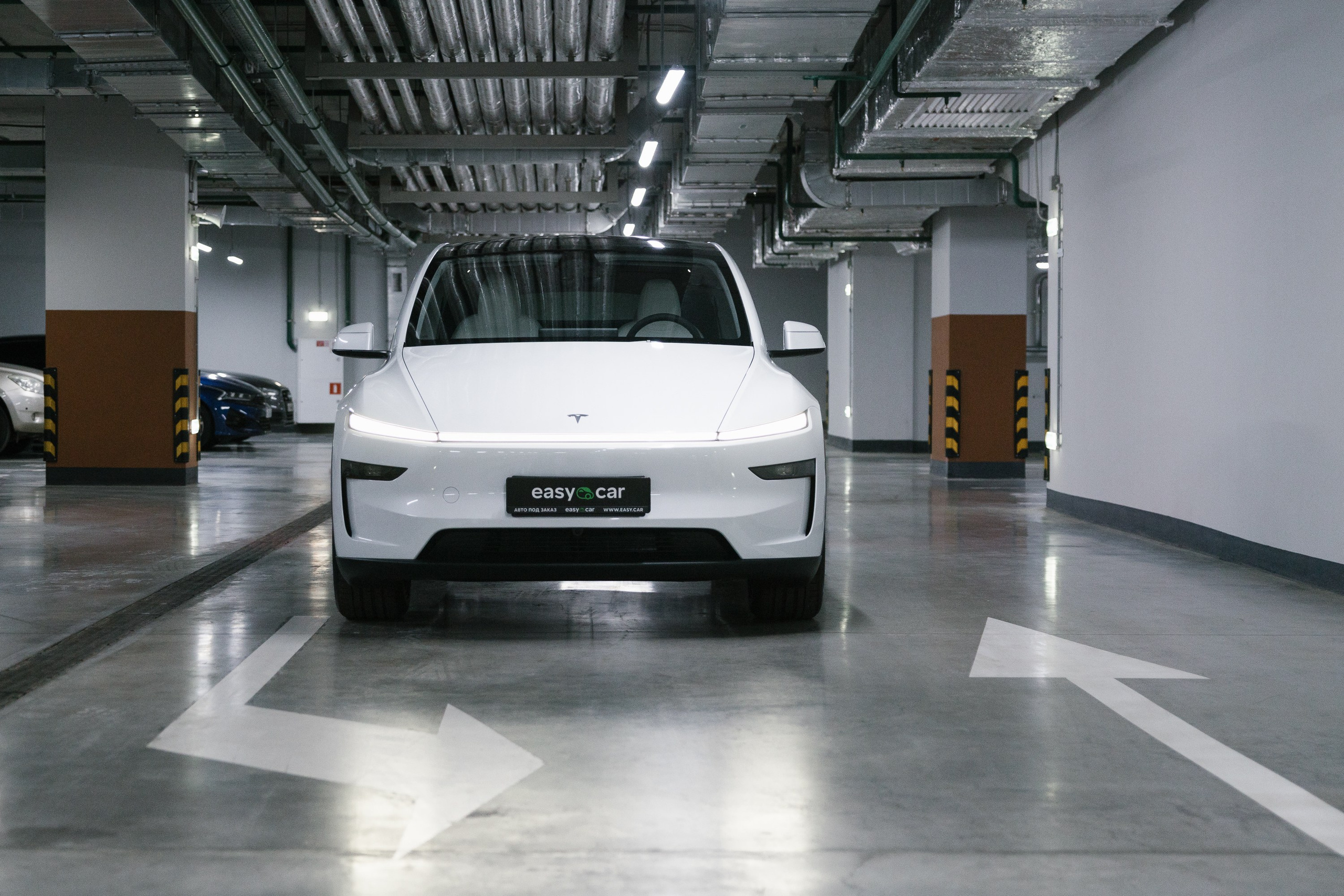 Model Y+. Эстетика Sveta