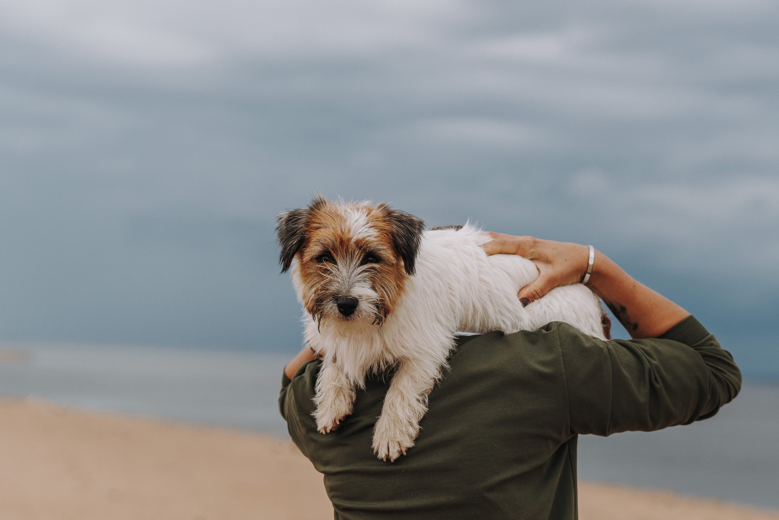 Оля, Ларс и Лукас. Фотограф анималист в Спб недорого Олеся Майорова