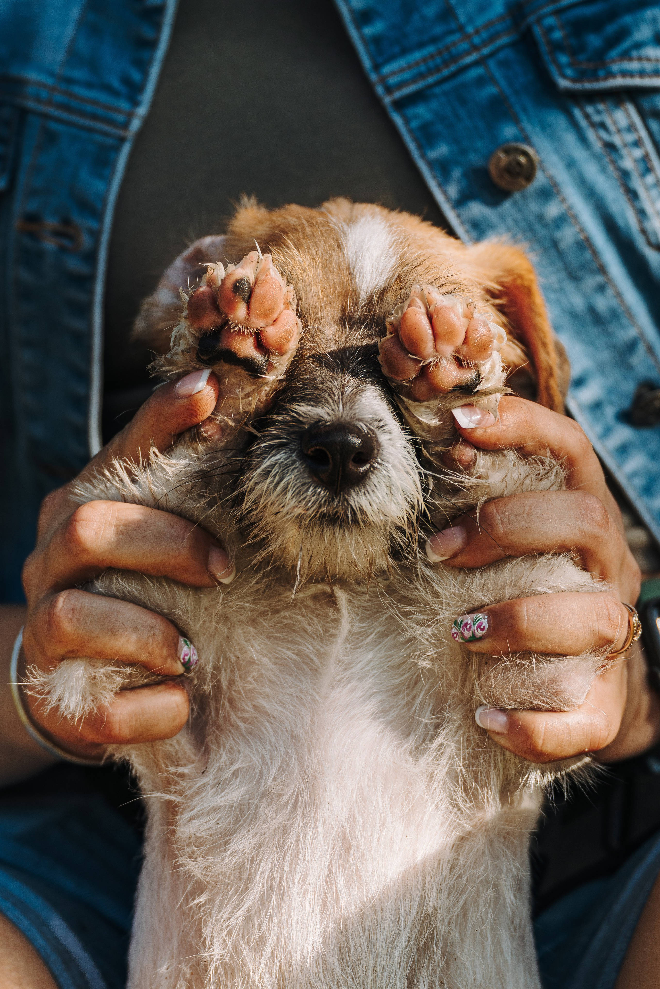 Ларс, Лукас и Ольга. Фотограф анималист в Спб недорого Олеся Майорова