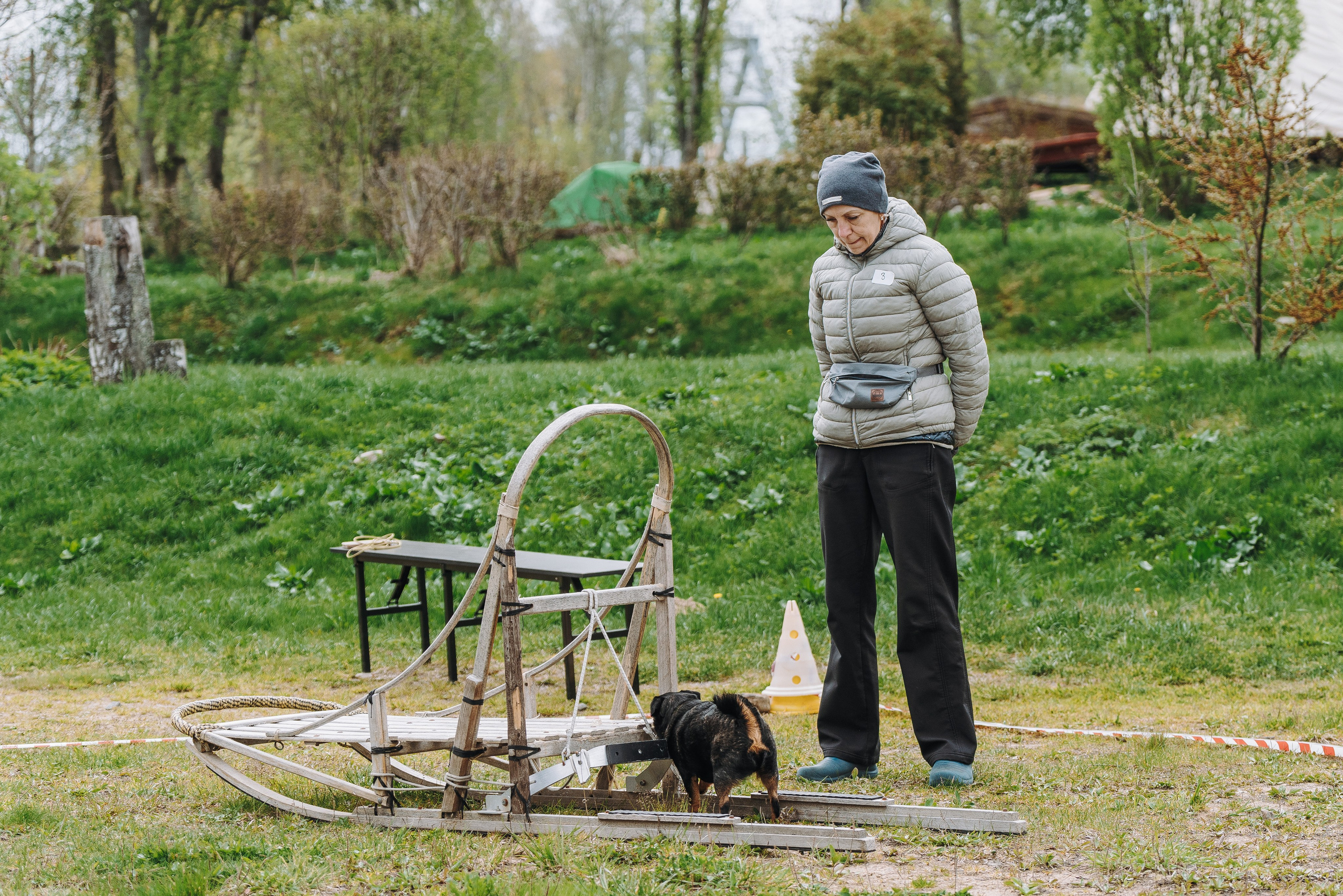 Соревнования по ноузворку в Лосево. Фотограф анималист в Спб недорого Олеся Майорова