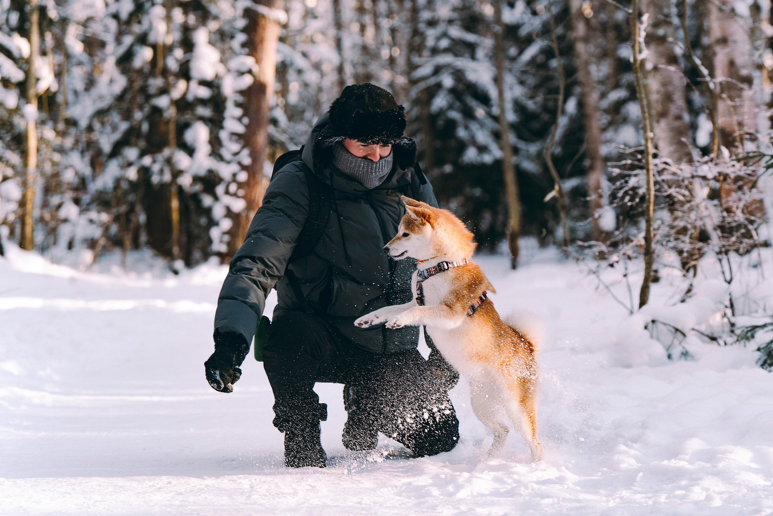 Каори, Анна и Антон. Фотограф анималист в Спб недорого Олеся Майорова