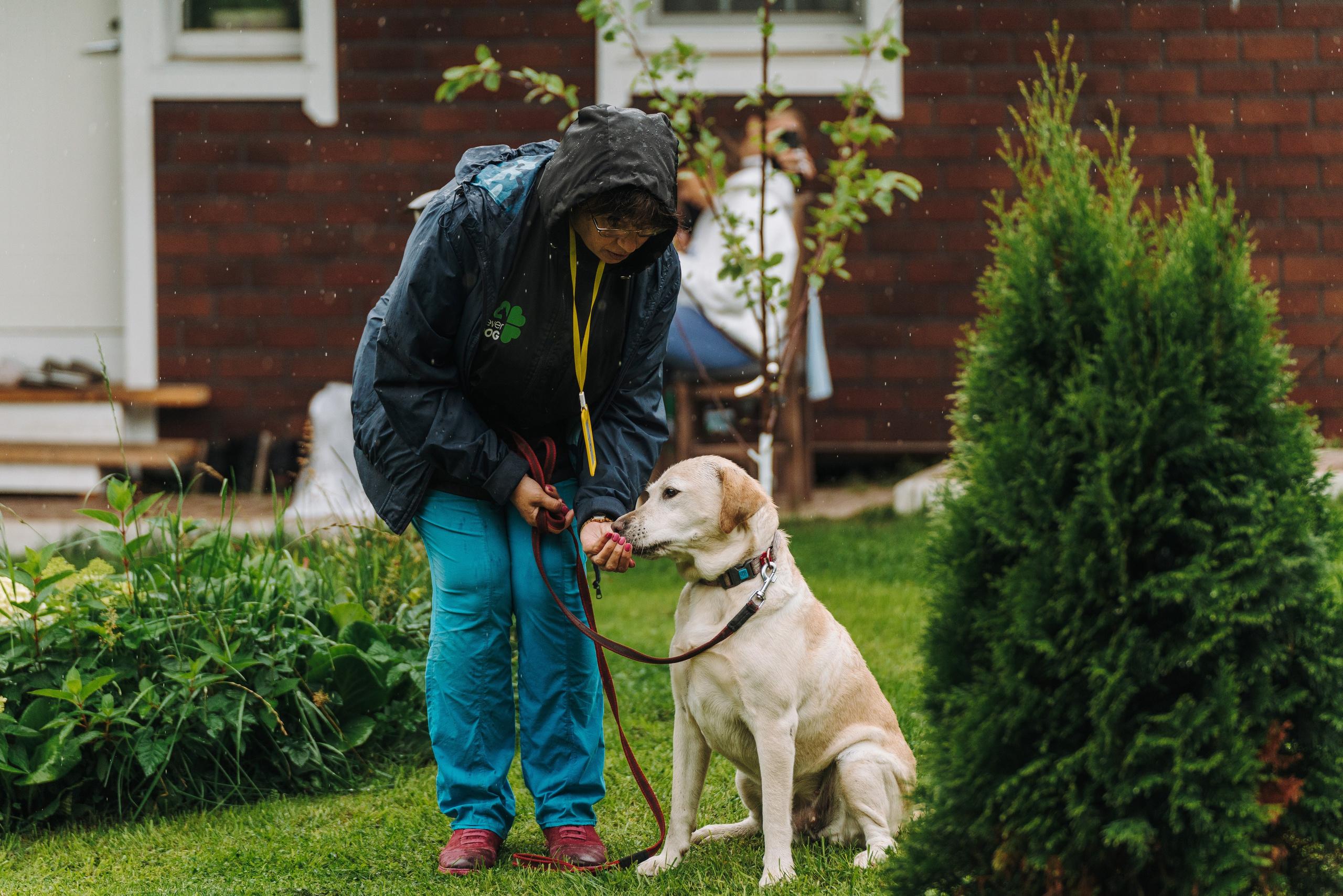 Соревнования по ноузворку в Новожилово. Фотограф анималист в Спб недорого Олеся Майорова