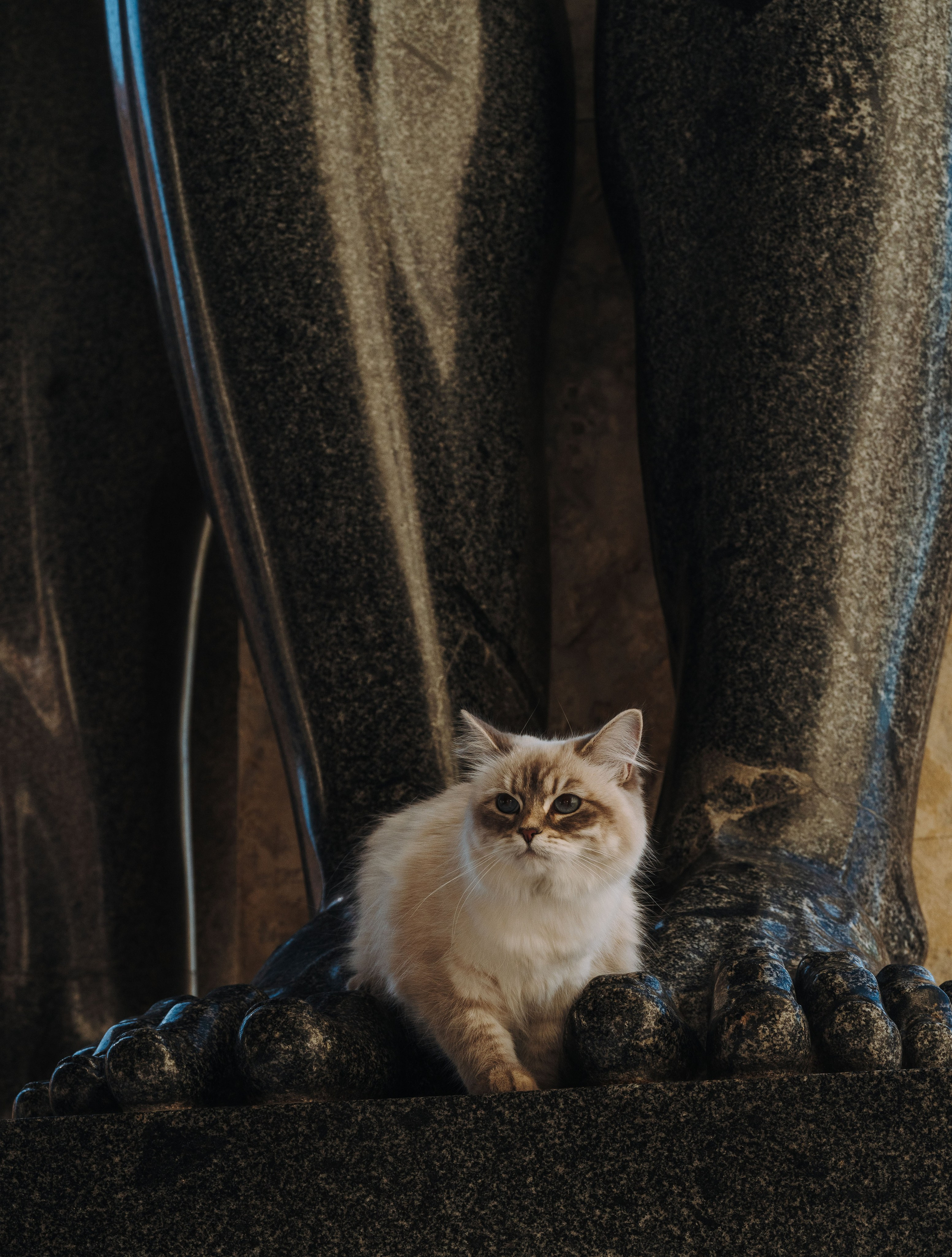 Сильвия, Полина и Никита. Фотограф анималист в Спб недорого Олеся Майорова