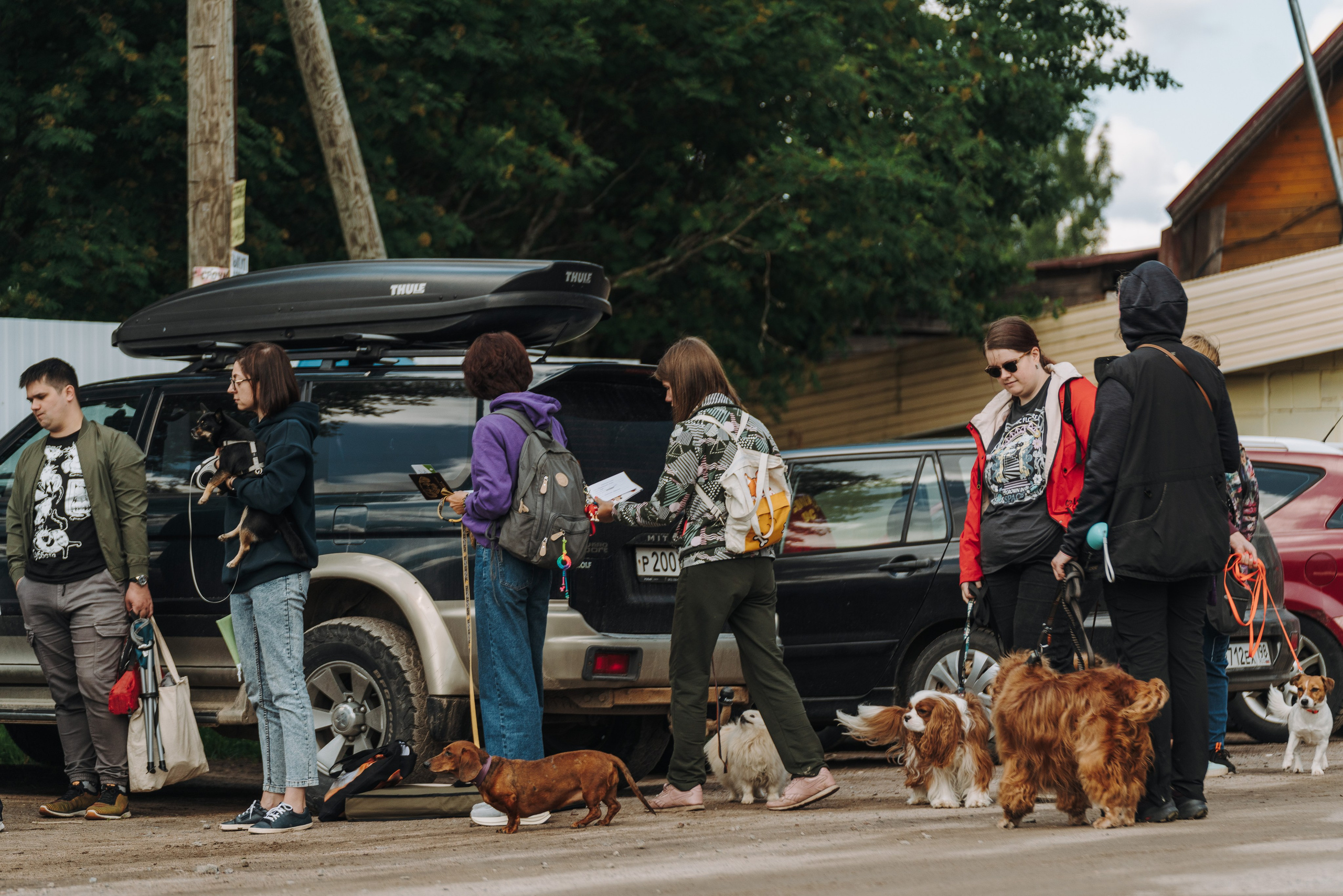 Соревнования по ноузворку. Фотограф анималист в Спб недорого Олеся Майорова