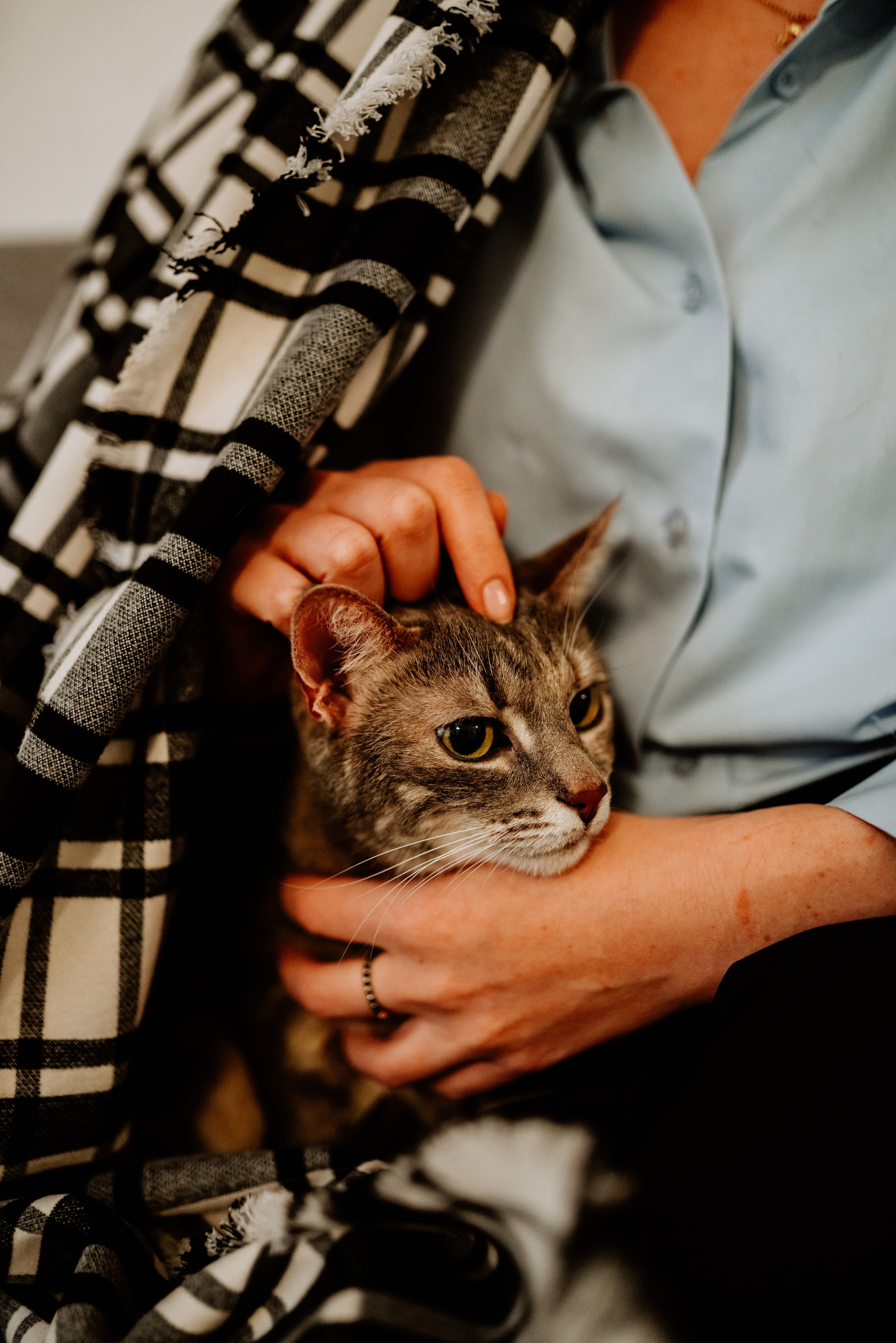 Натали и Иззи. Фотограф анималист в Спб недорого Олеся Майорова