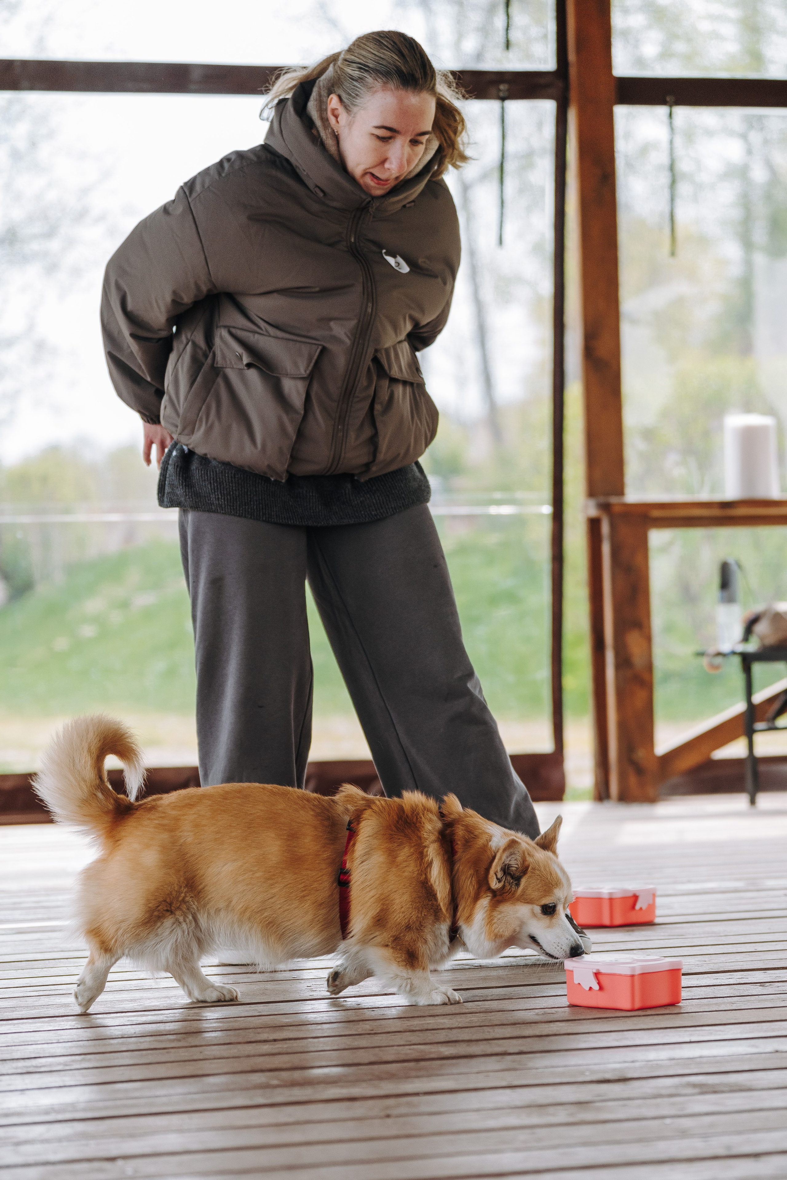 Соревнования по ноузворку в Лосево. Фотограф анималист в Спб недорого Олеся Майорова
