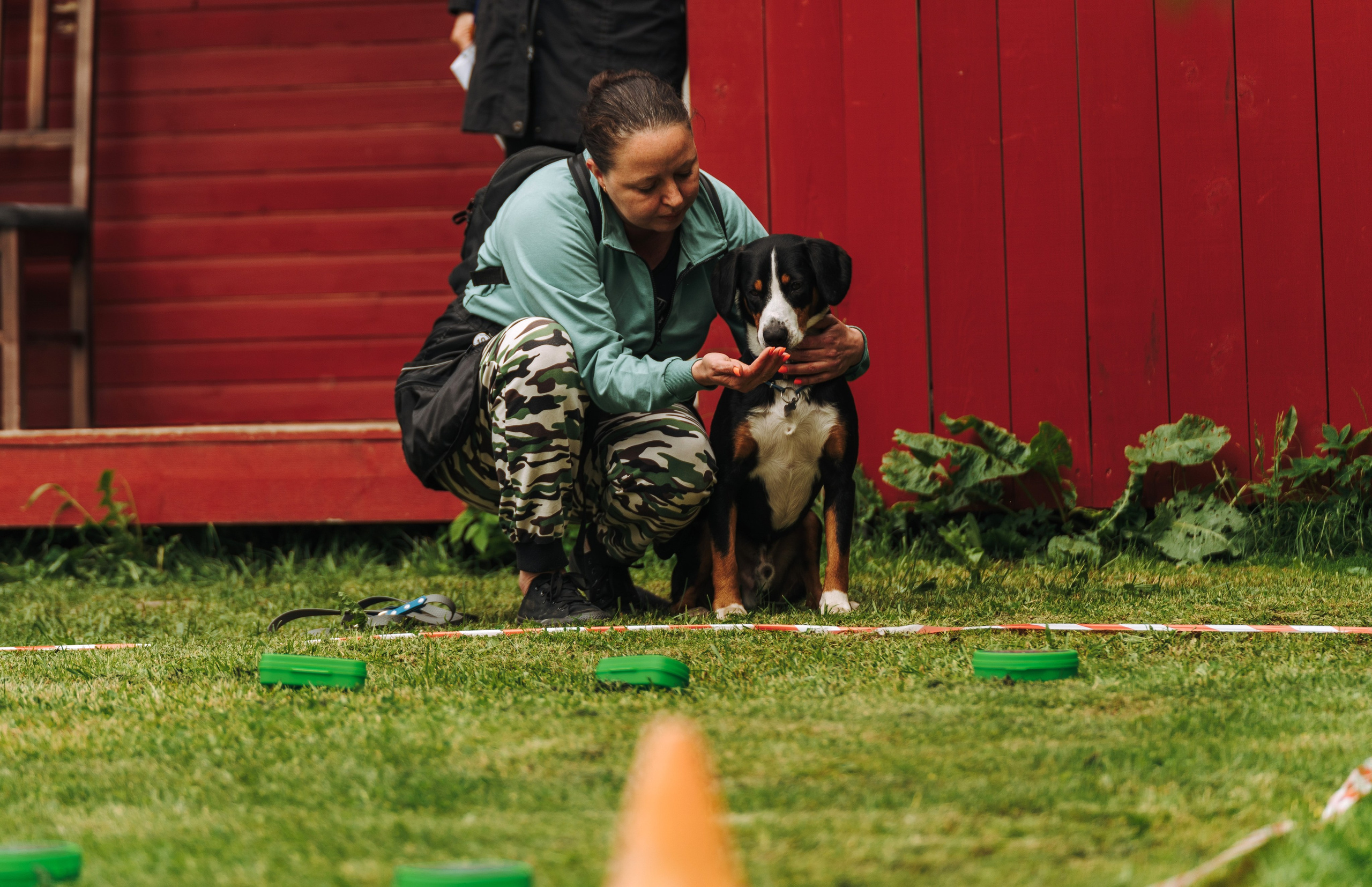 Соревнования по ноузворку. Фотограф анималист в Спб недорого Олеся Майорова