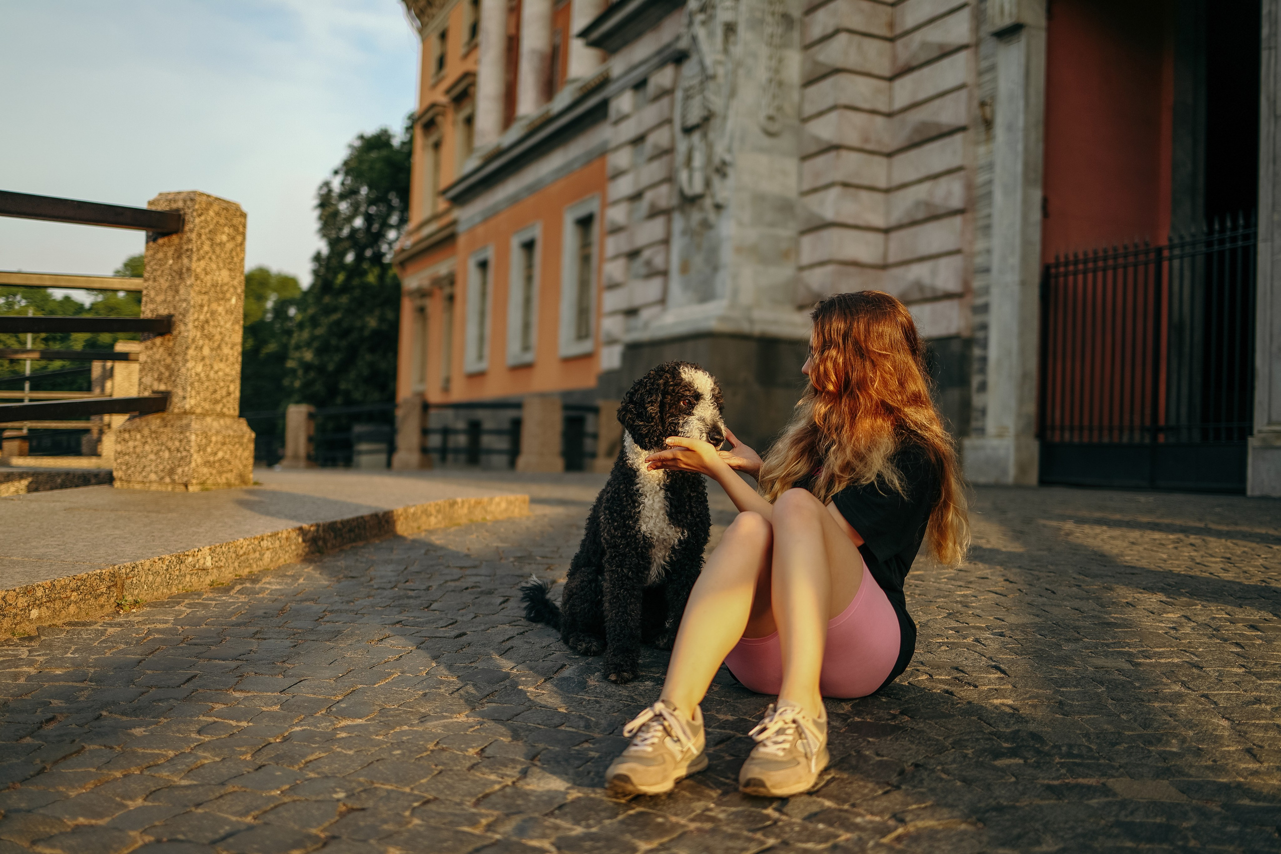 Собаки и их люди. Фотограф- анималист Санкт-Петербург