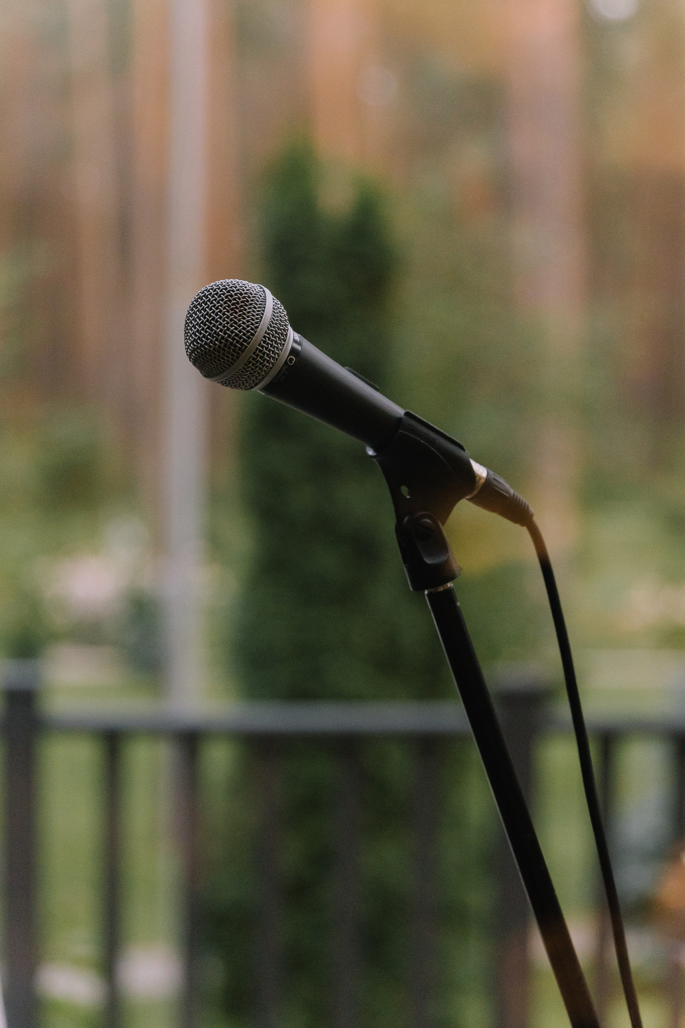 В конце лета. Фотограф Елена Краснопевцева