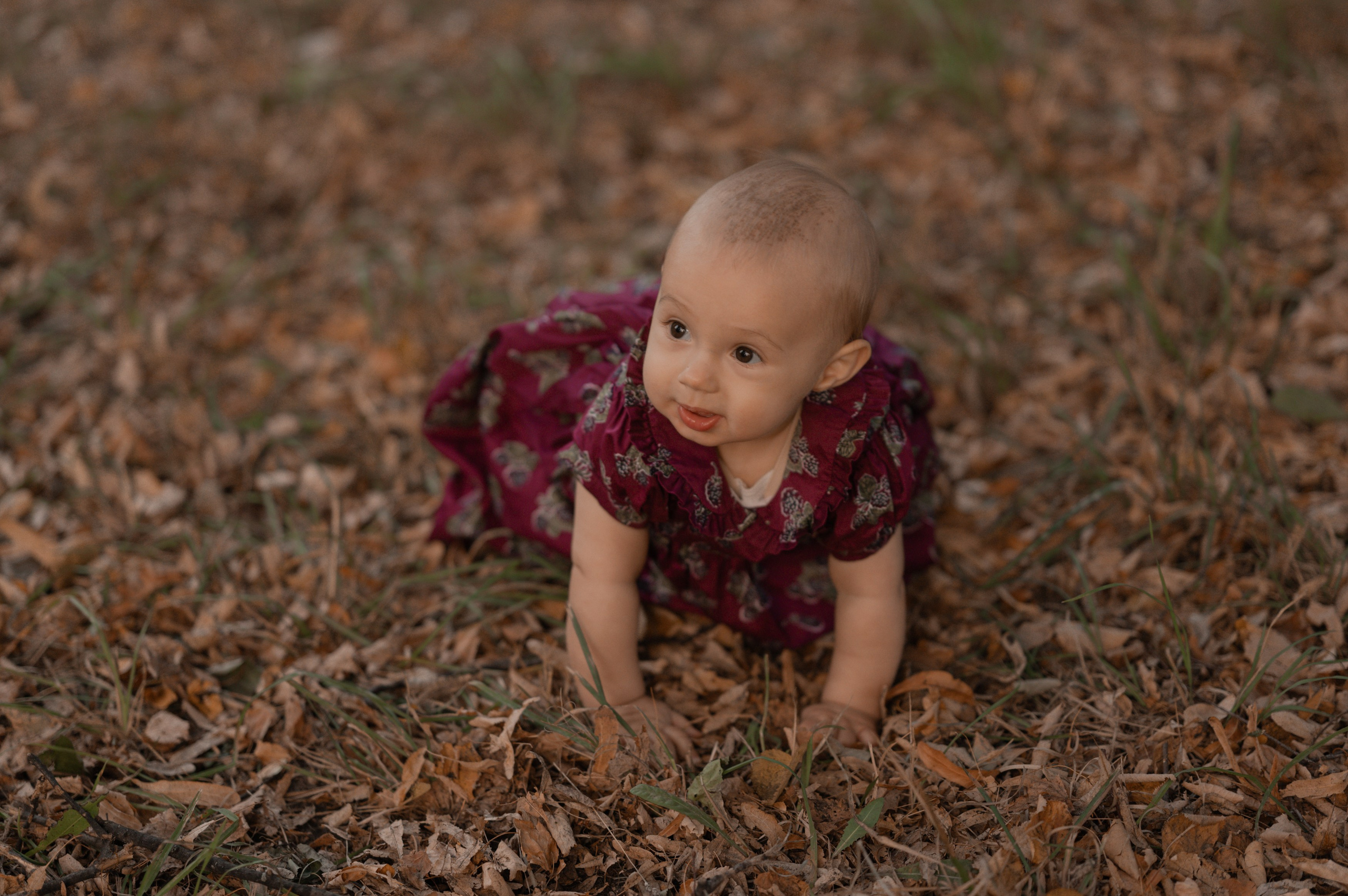 Осень. Фотограф Ким Ангелина