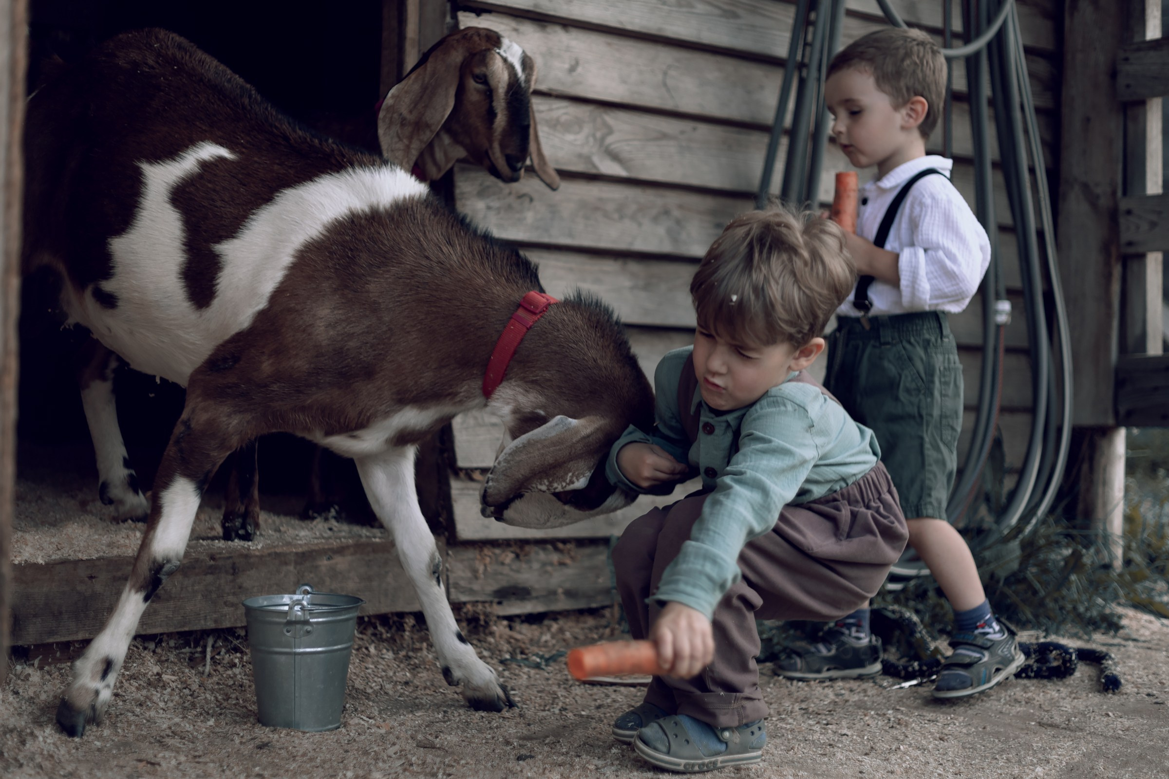 Дети. Фотограф в Минске Алёна Дианина