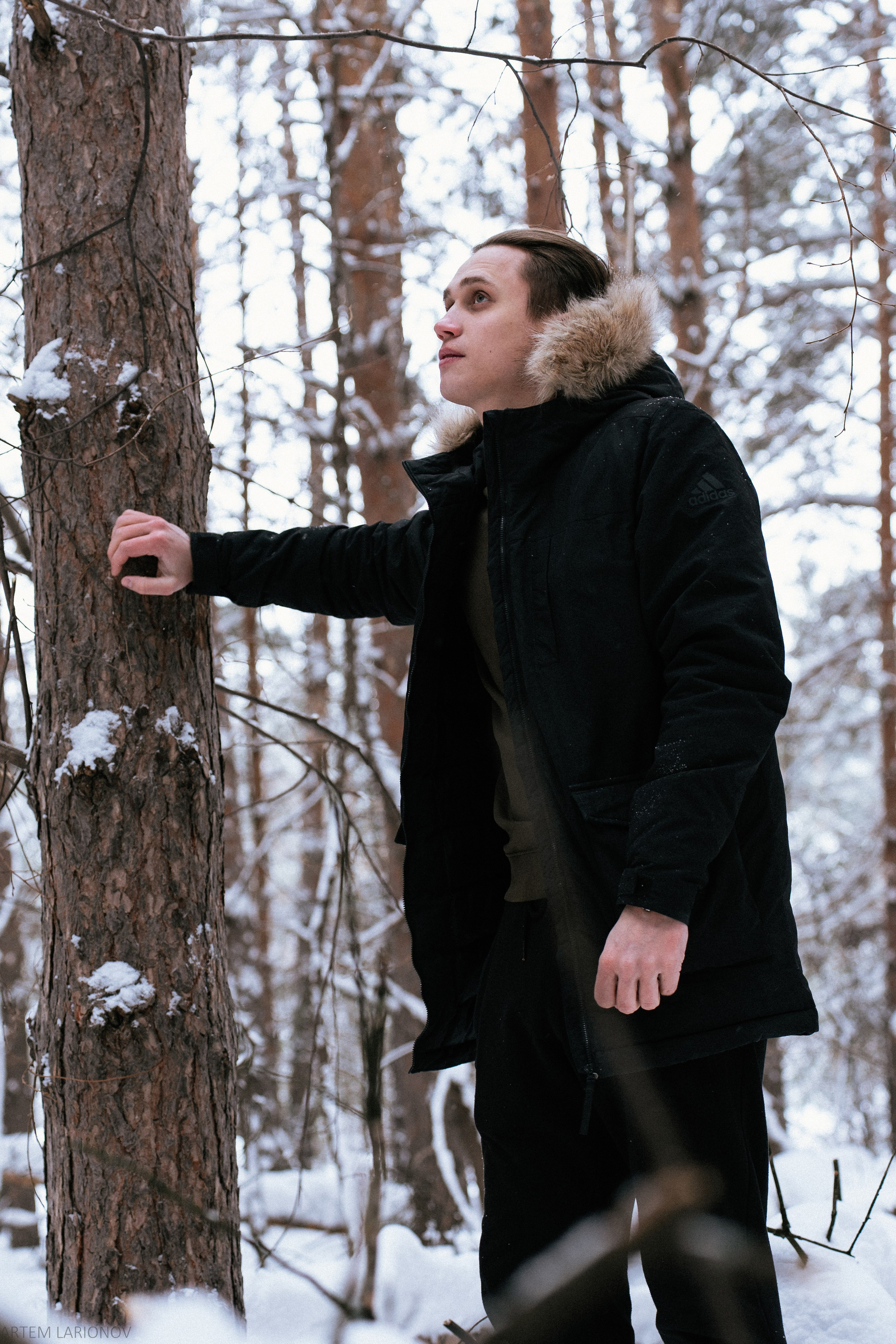 Снежный лес. Фотограф Артем Ларионов