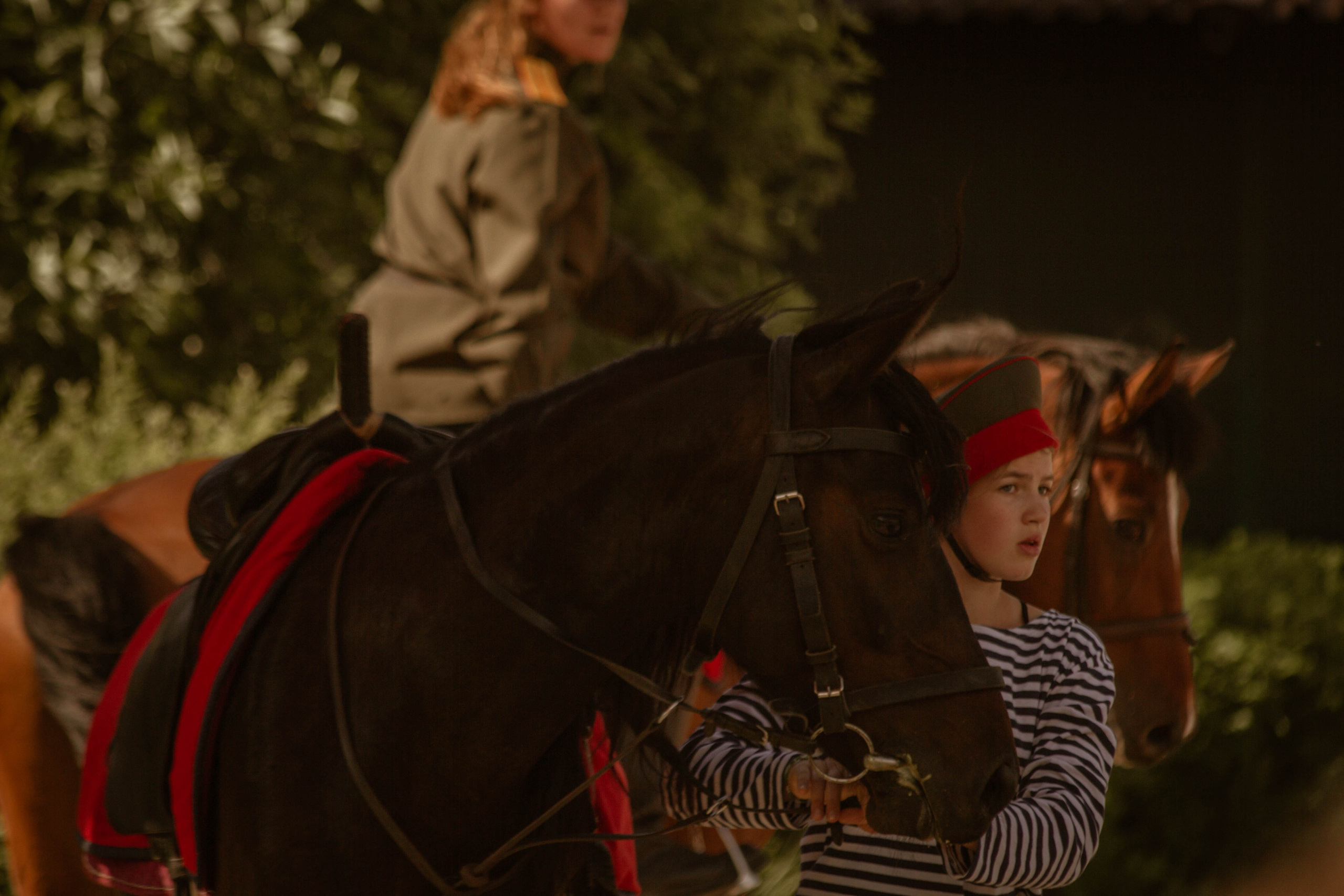 ИППОСФЕРА — Международная конная выставка. Создадим шедевр? Виталина и её фотоискусство