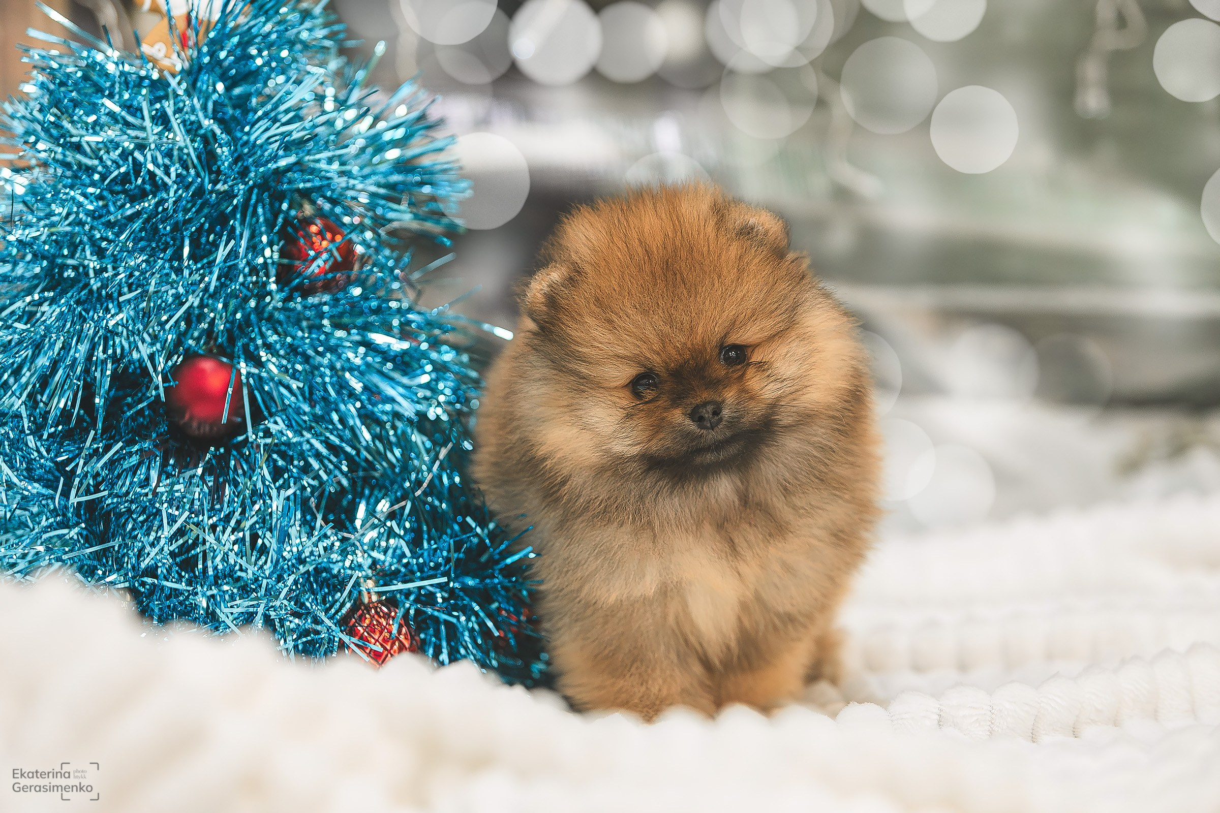 Фотодень. Htykk_photo