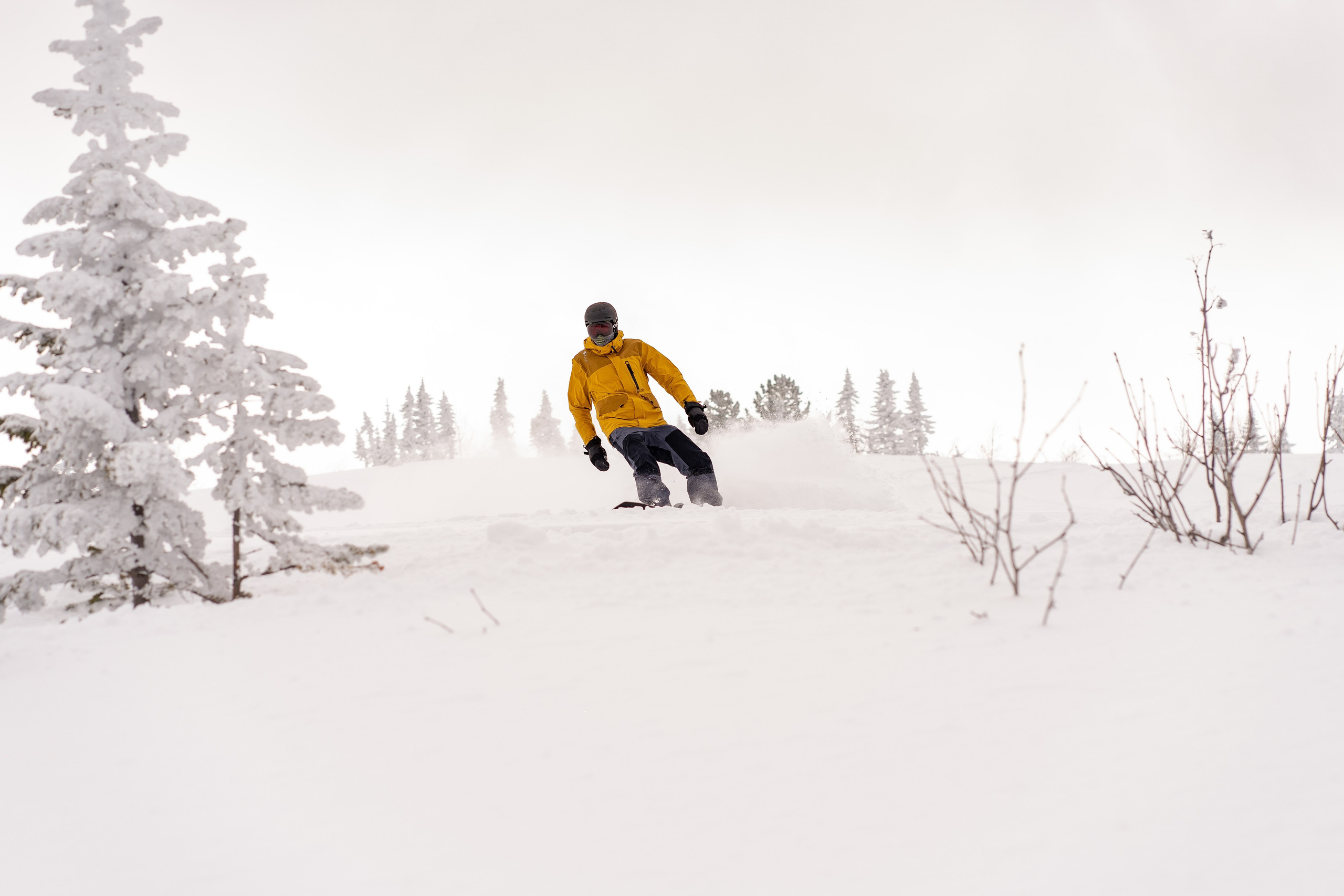 Фрирайд. Анастасия Паршукова — фотограф Шерегеш Новосибирск