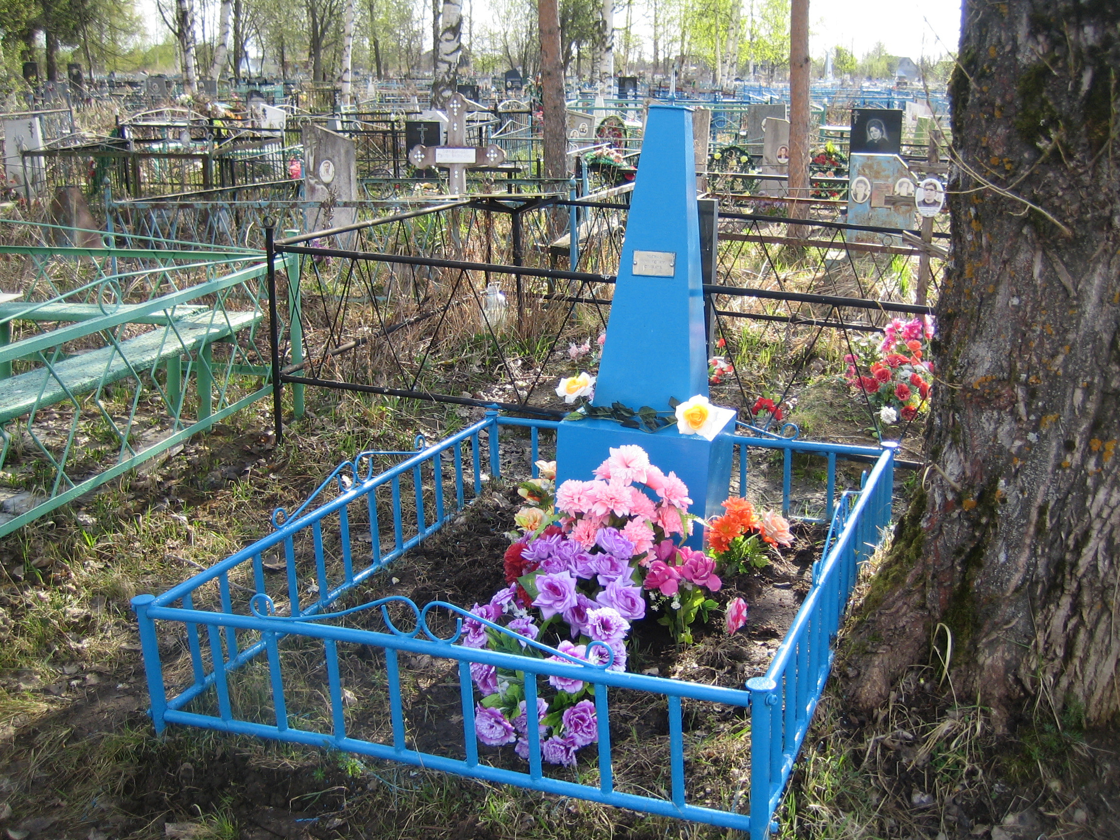 Общий вид захоронения. История Назиевского городского поселения