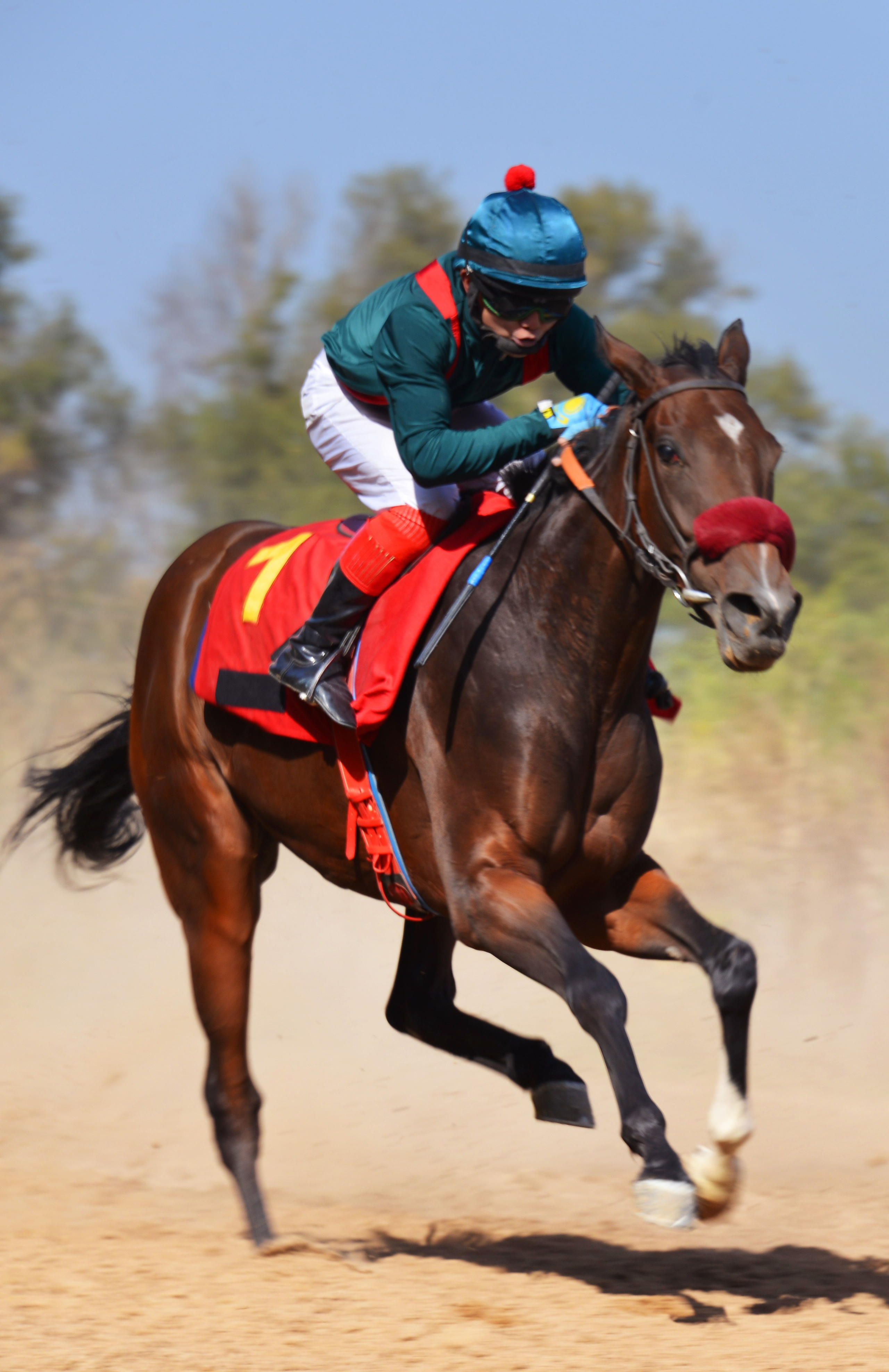 Скачки. Фотосъёмка. Фотограф Сергей Авдеев-семейный и детский фотограф в Алматы