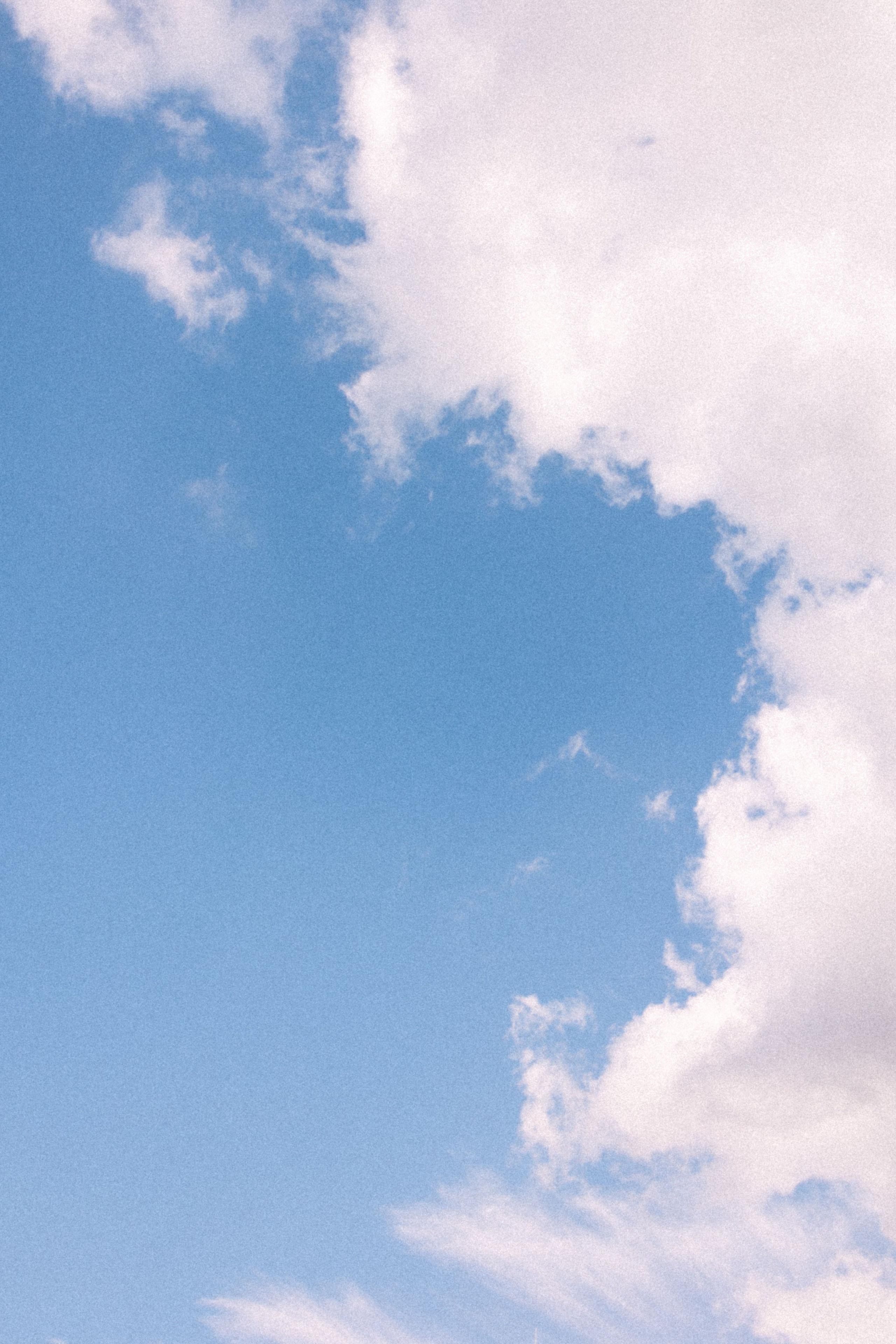 Парк. Фотограф в Москве и Домодедово Ирина Коростелева