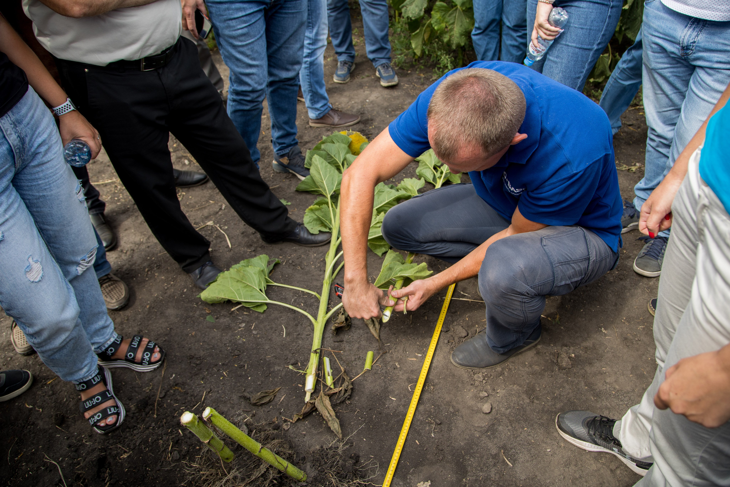 Решения для сельского хозяйства BASF 16.08.2022. Владислав Волков | Фотография и видеосъемка в Воронеже