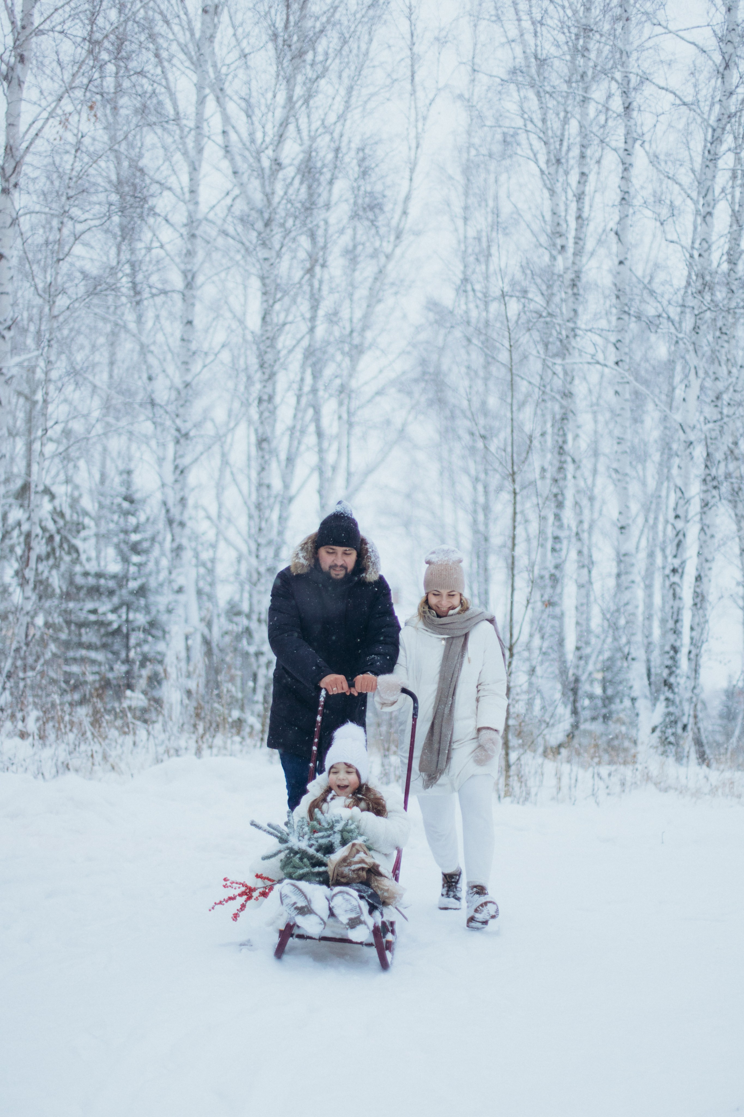 Зимняя история