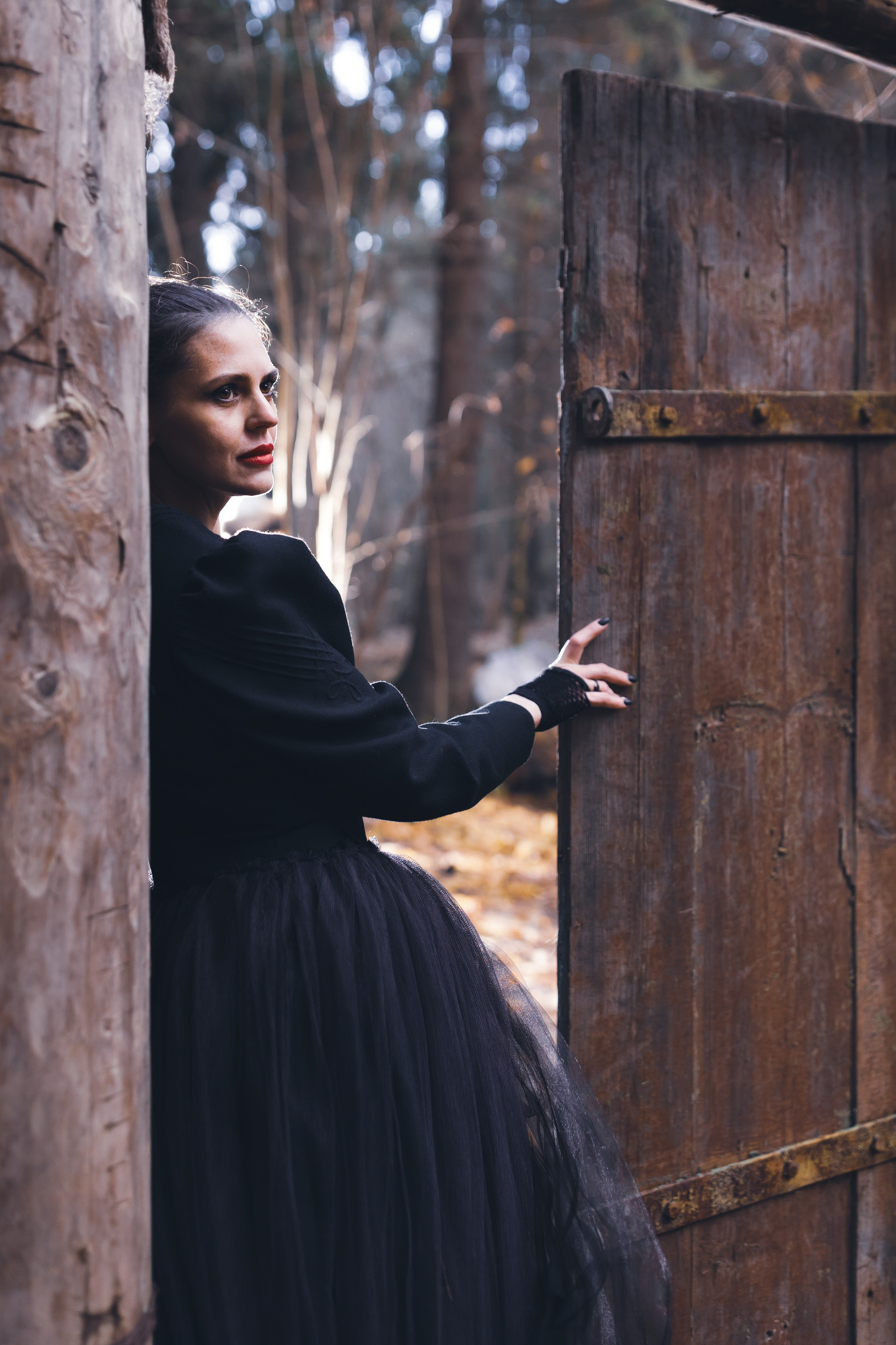 Тайны леса. Сказочный фотограф для Вас и Вашей семьи