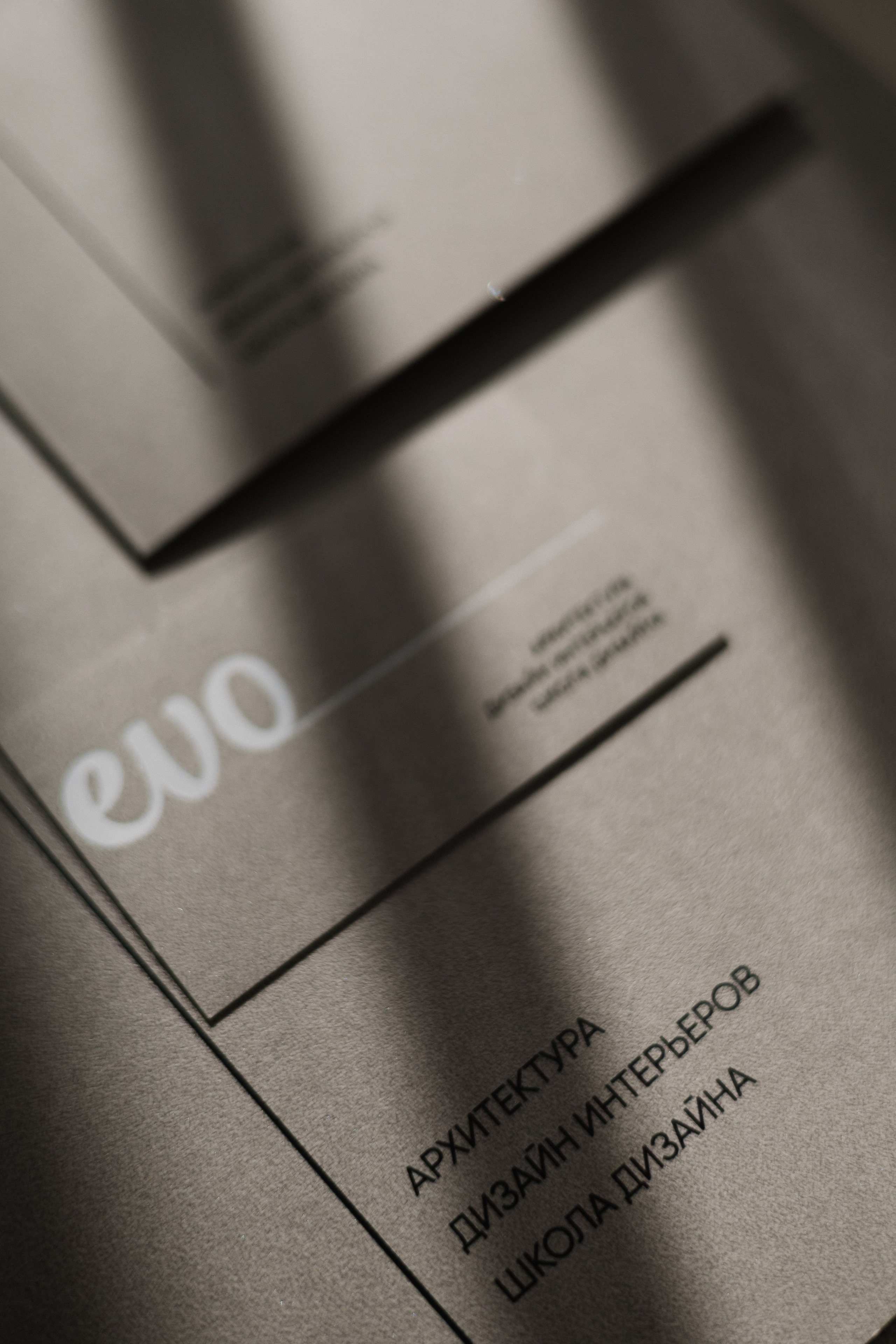 EVO. Бренд-дизайнер Карина Цыганкова, Санкт-Петербург