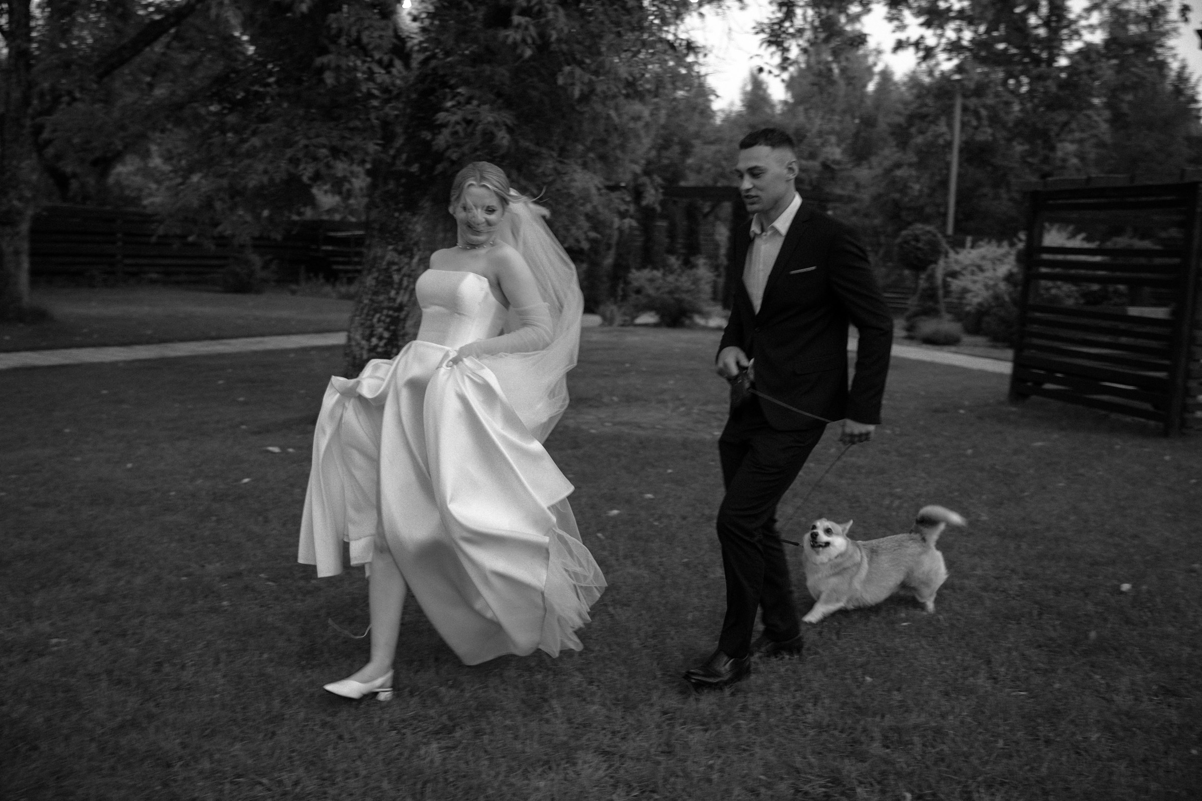 Свадьба пес и котики. Dima Lemeshevsky