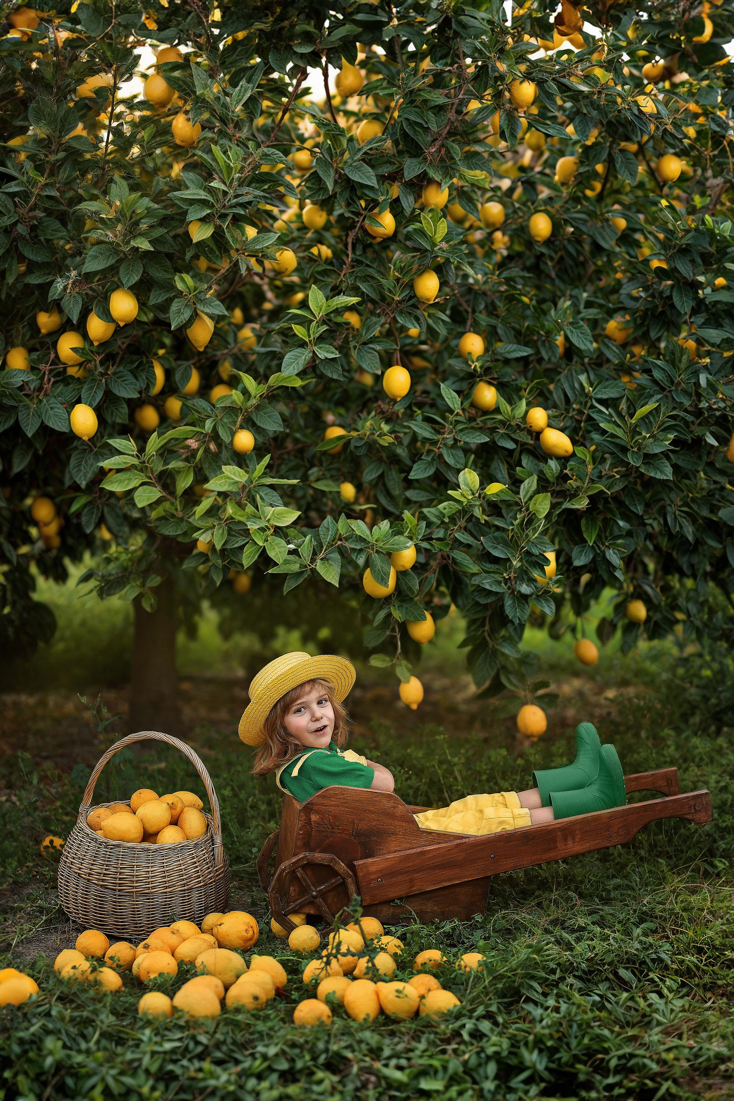 Potoshooting in lemon garden