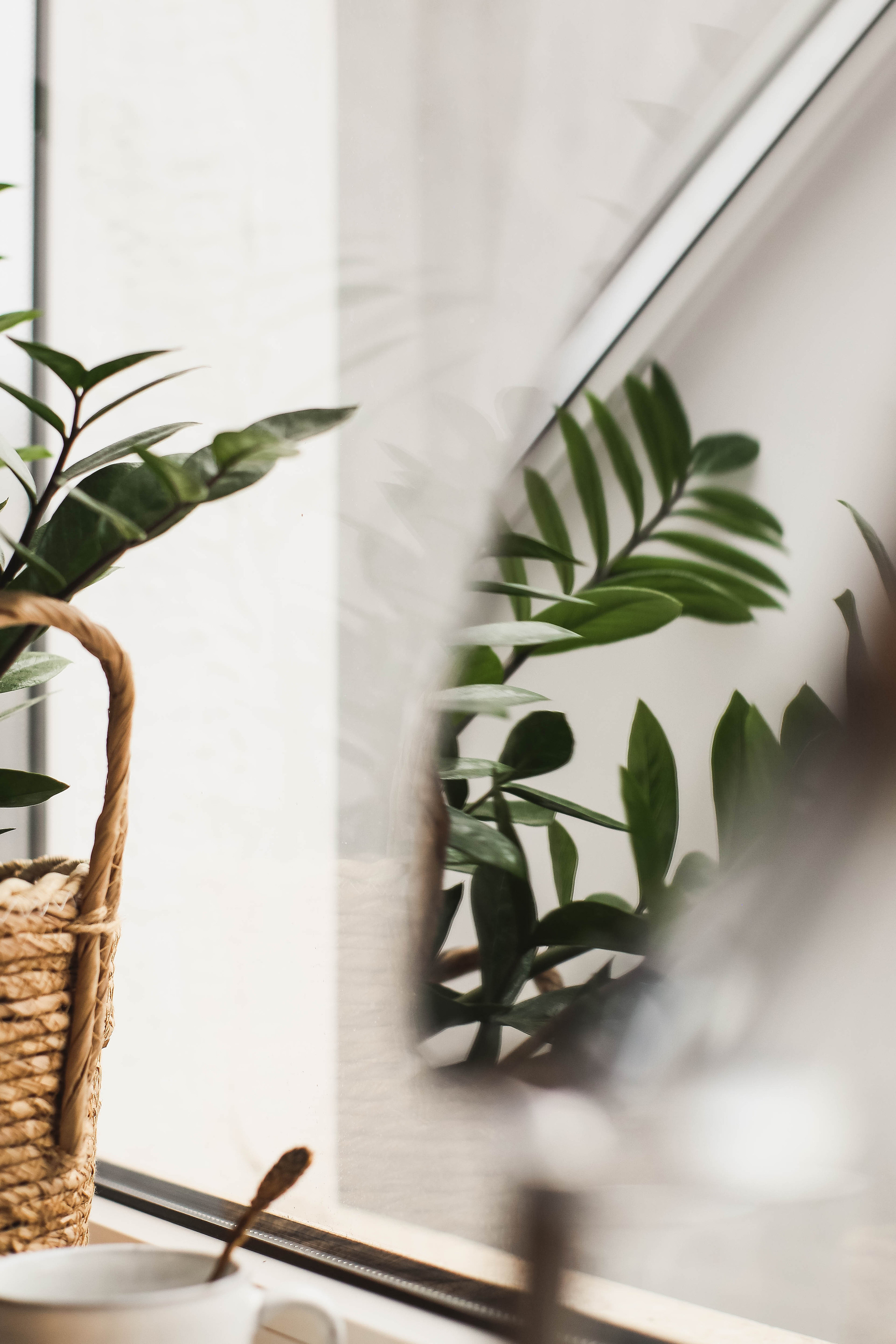 Cosmoderm. Usmanova Irina / Your Photographer