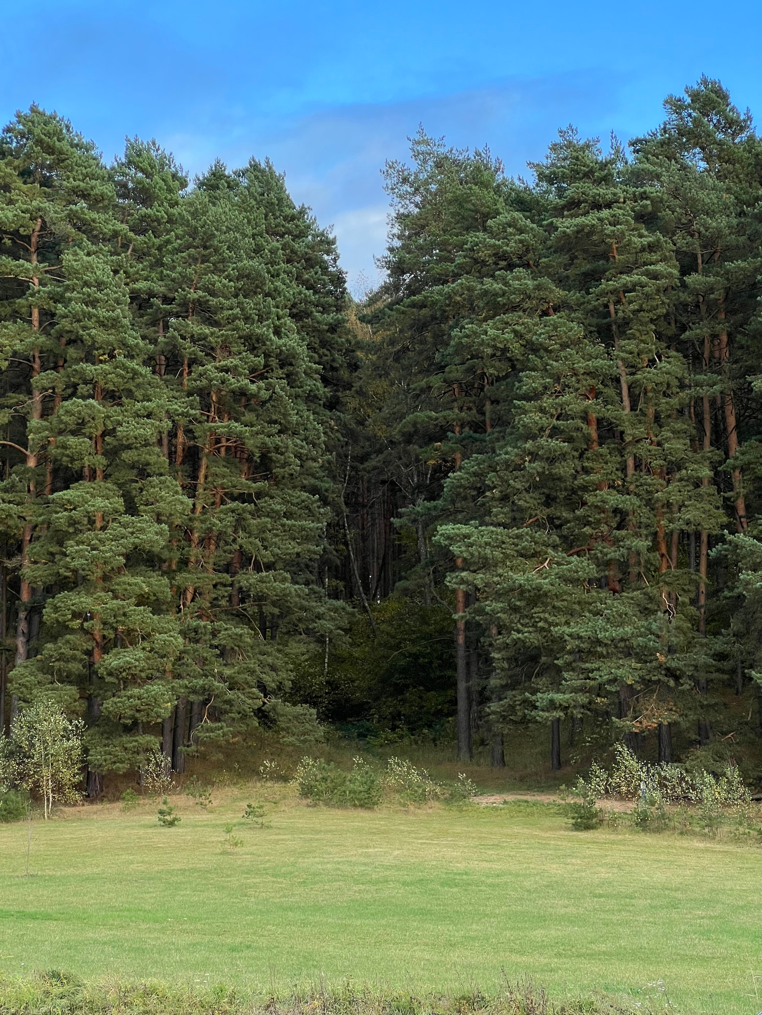 Fragments. Artem Khusainov