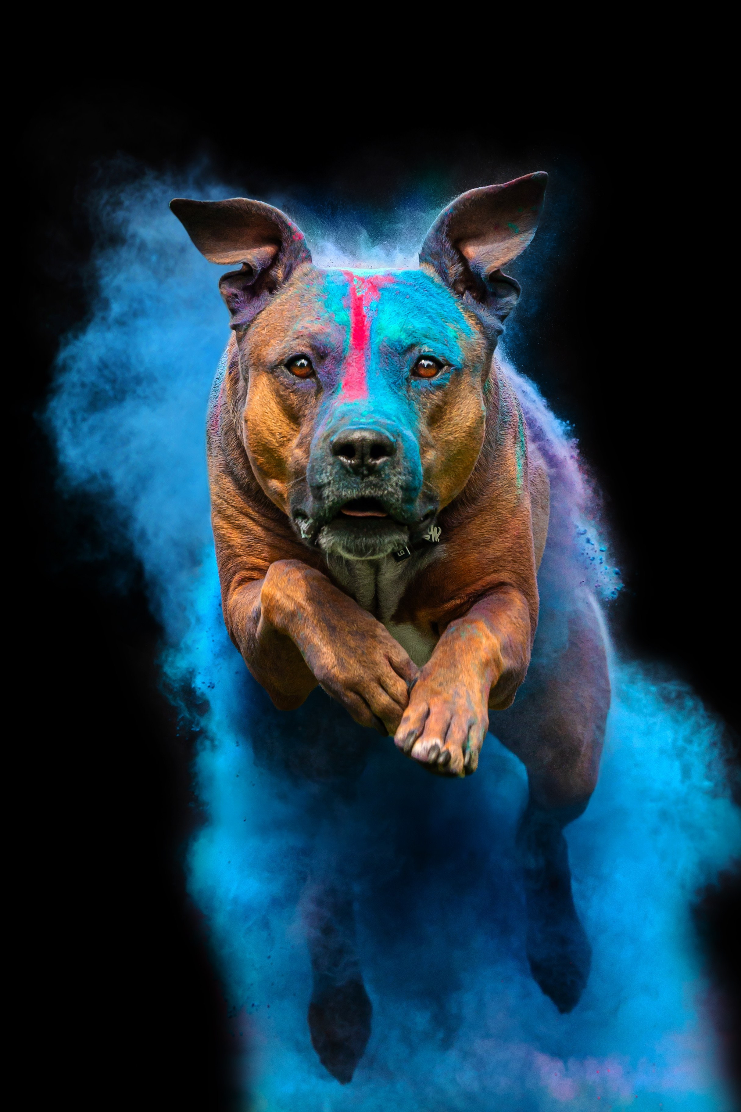 Батлер и Кэти