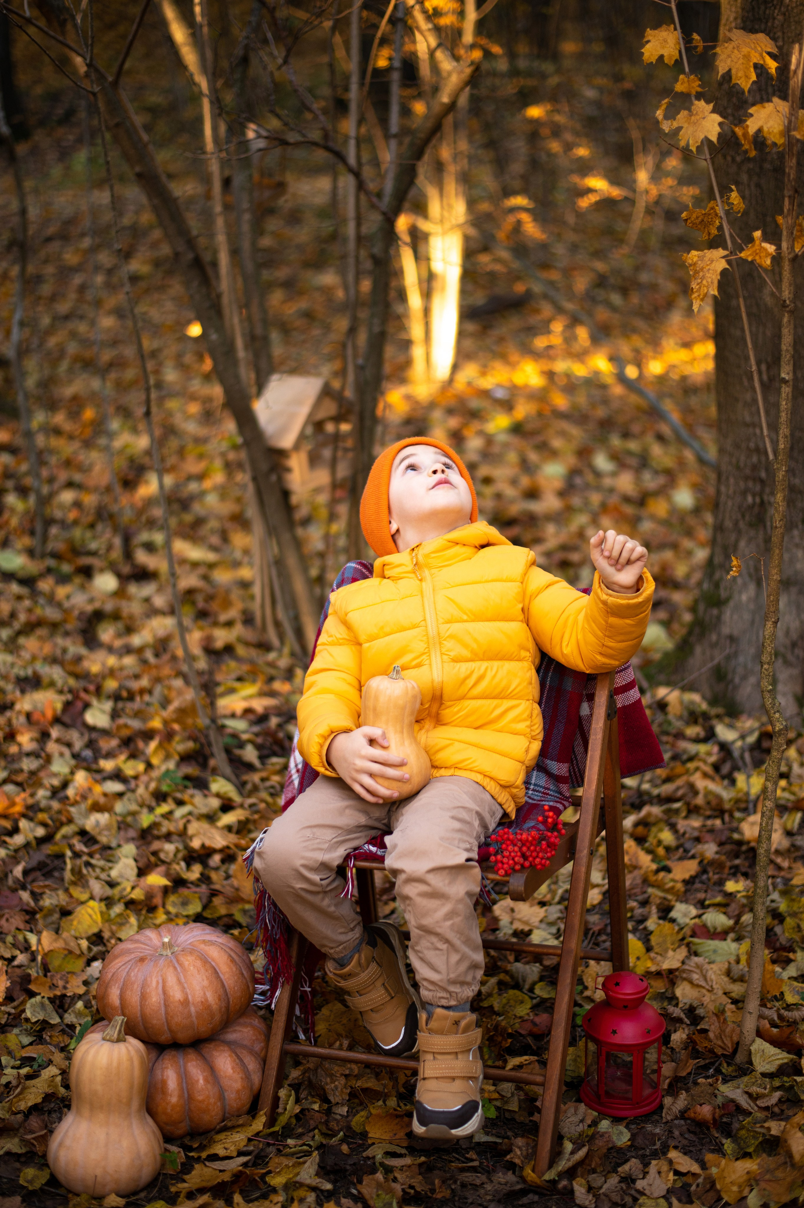 Осень в Шуваловском парке. Фотограф Санкт-Петербург | Дарья Першина