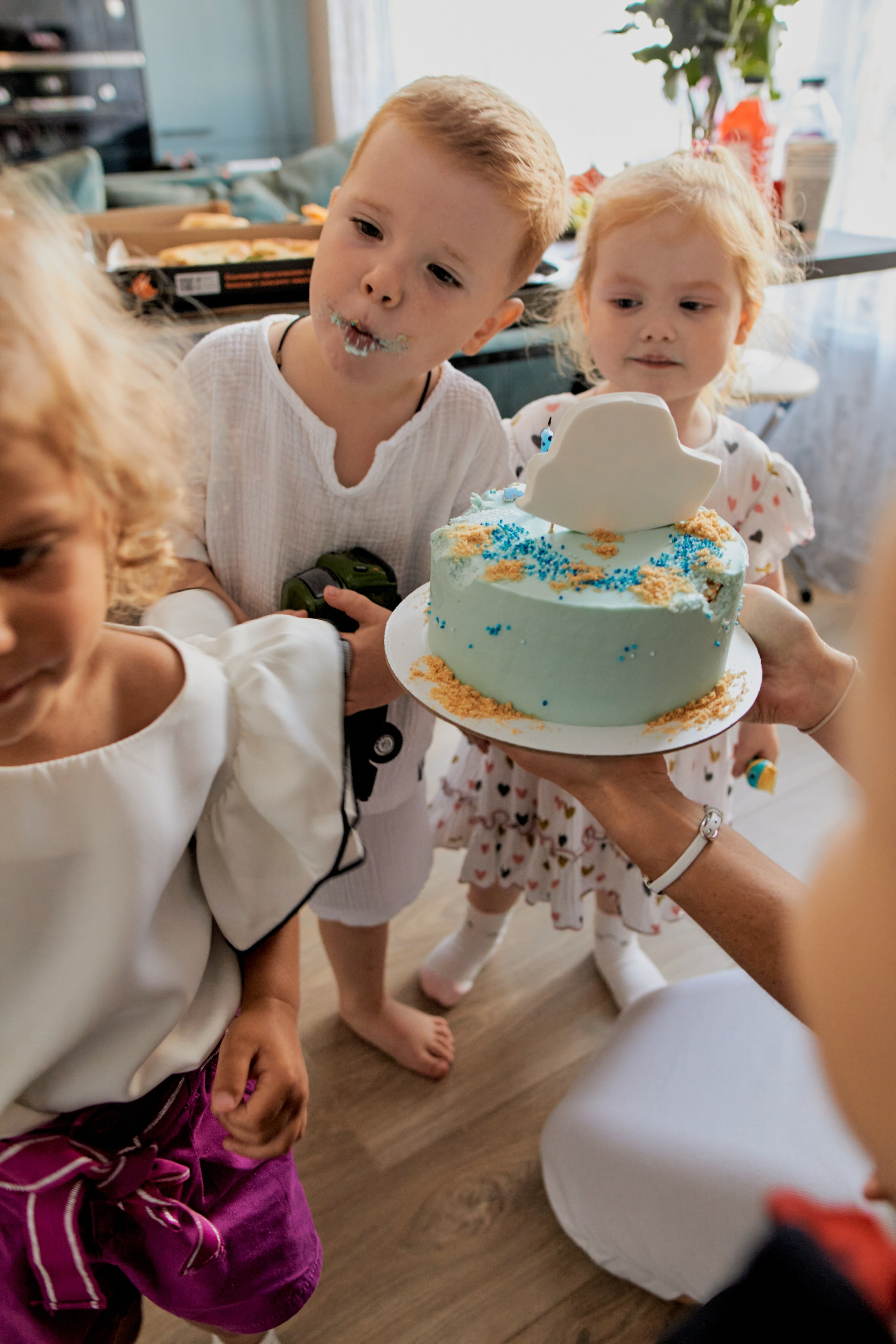 Три кота. Фотограф Москва