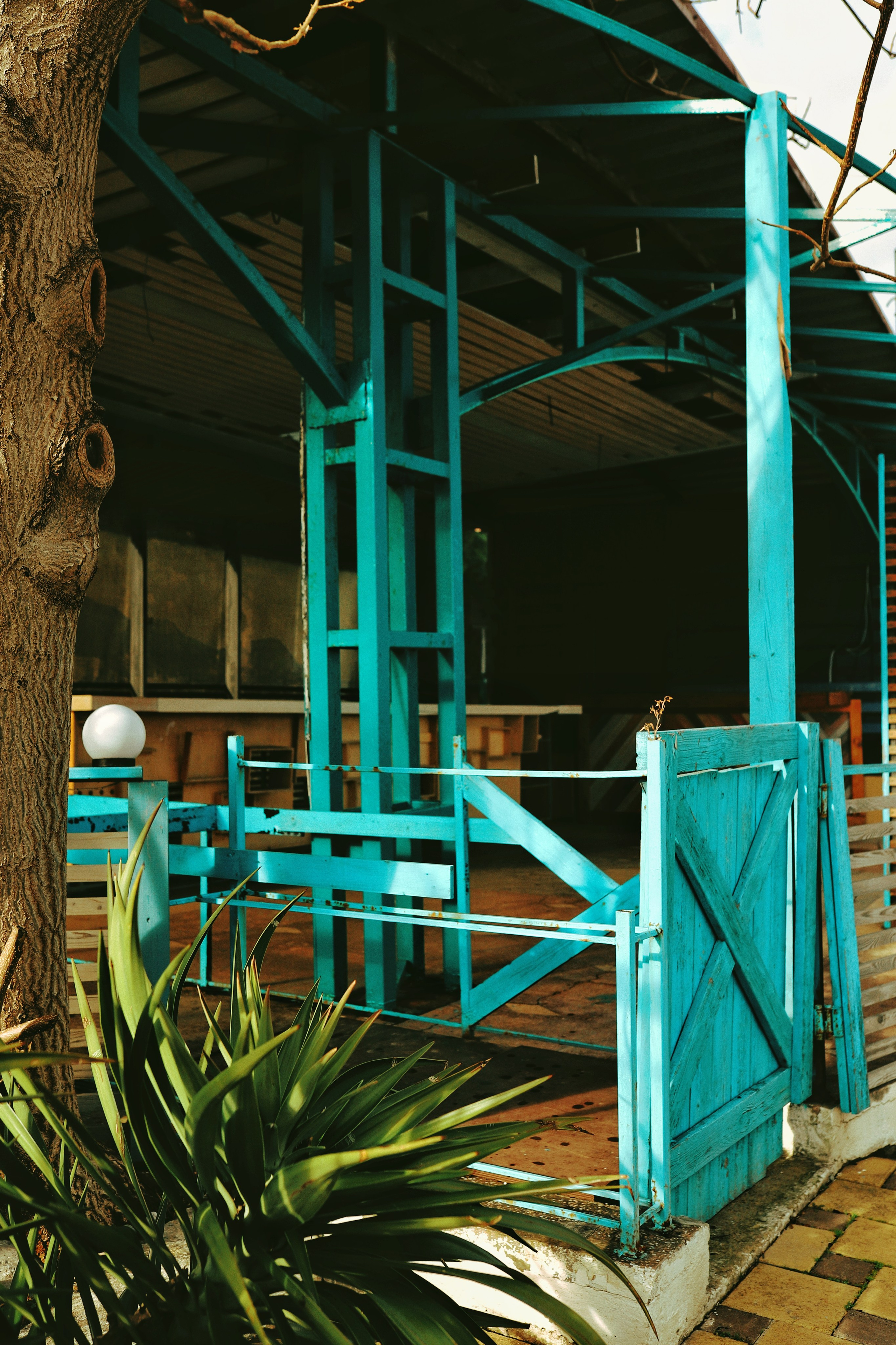 Алушта. Фотограф и видеограф в Санкт-Петербурге