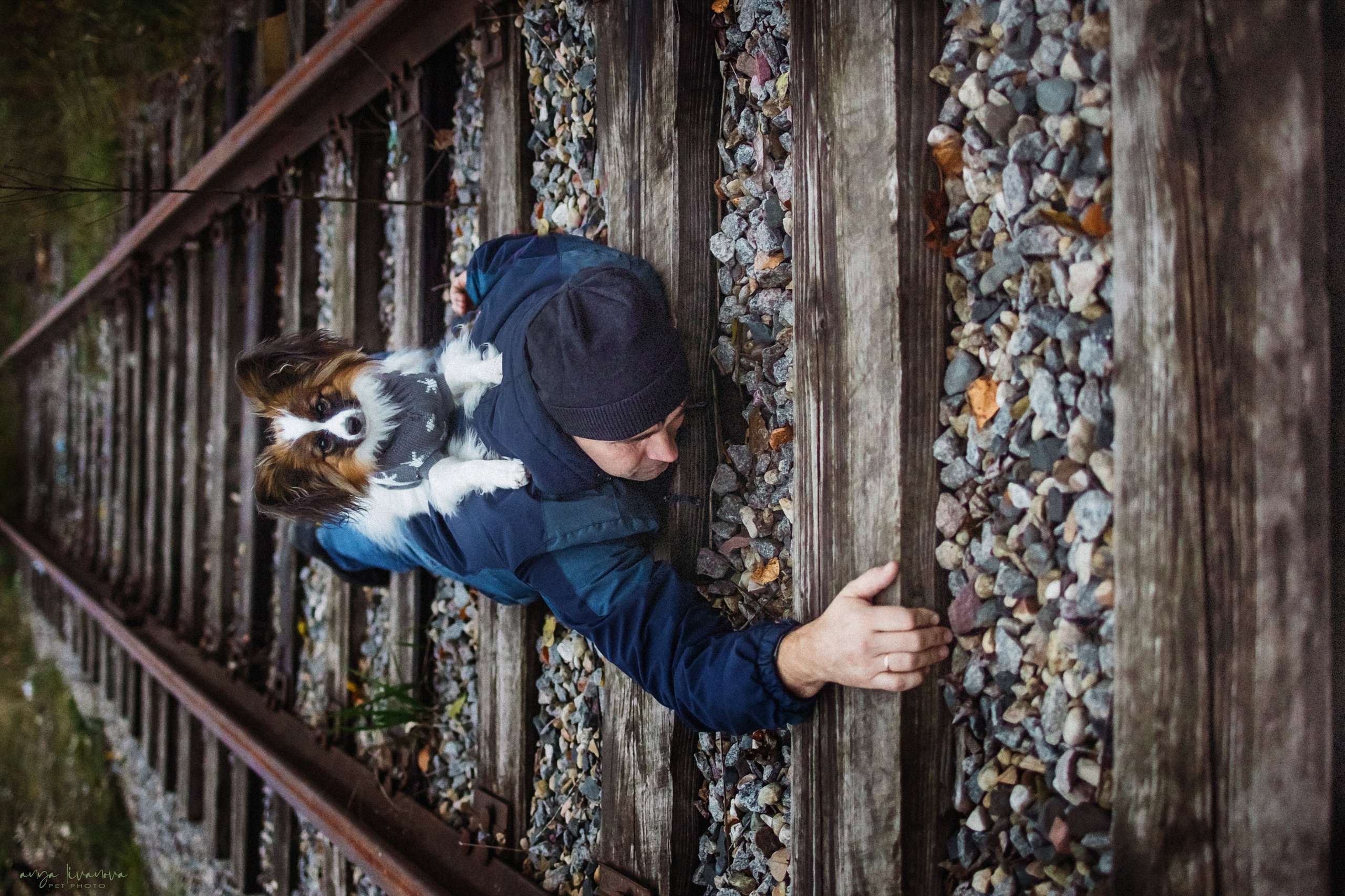 Хьюстон. Фотограф анималист Аня Ливанова | Рыбинск