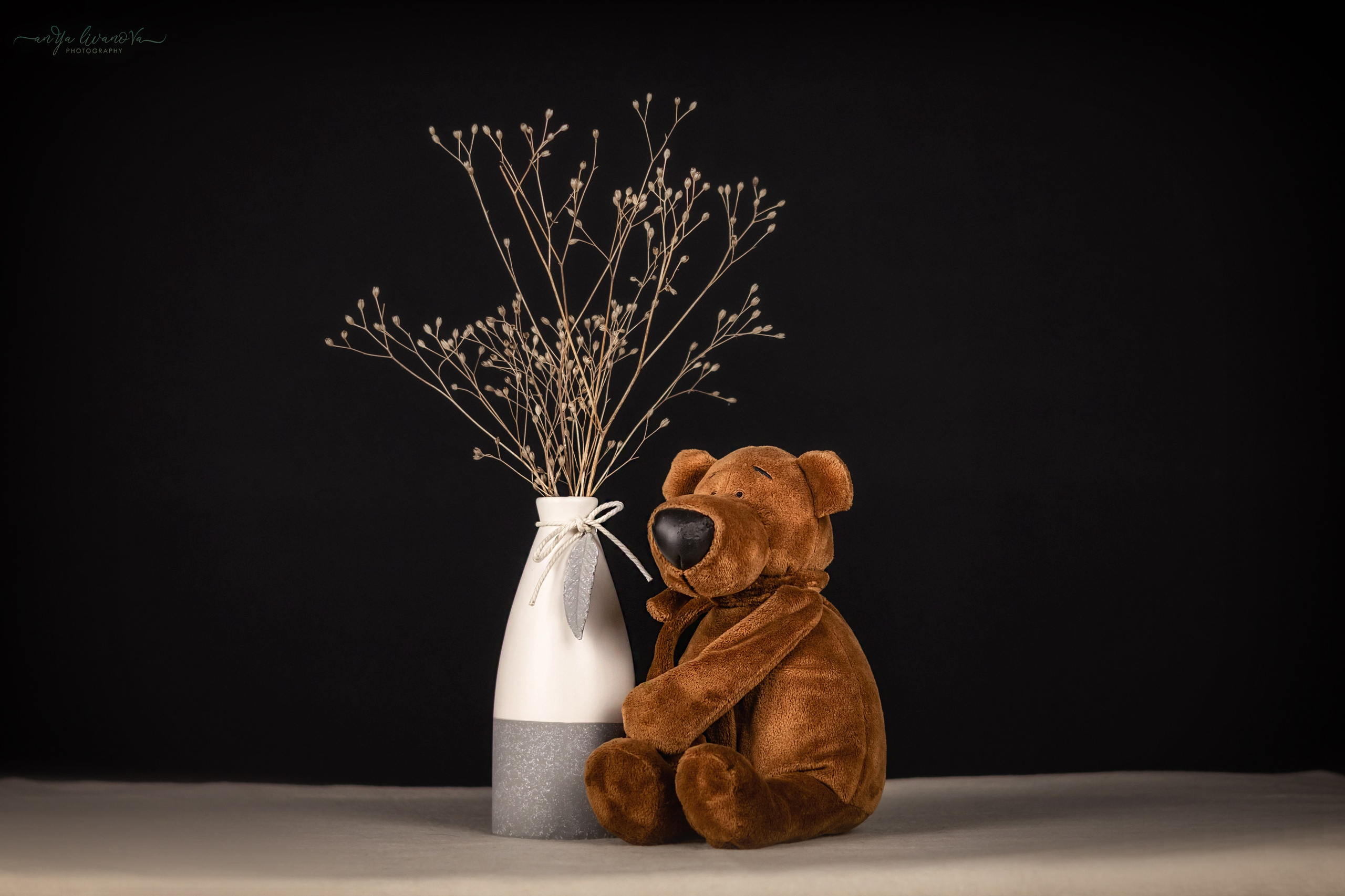 Черный фон. Фотограф анималист Аня Ливанова | Рыбинск