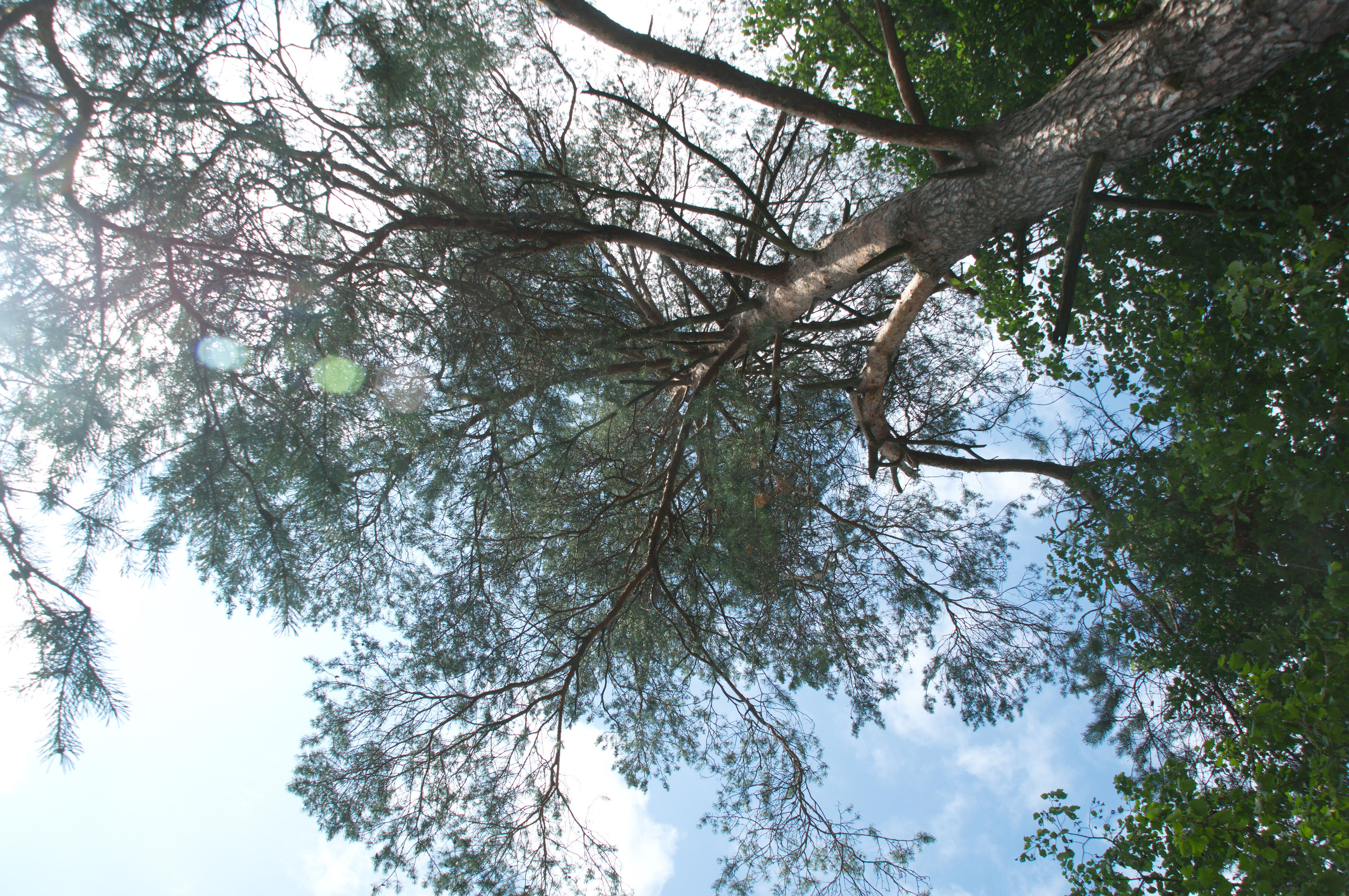 Космофест. Фотограф Евгений Симохин