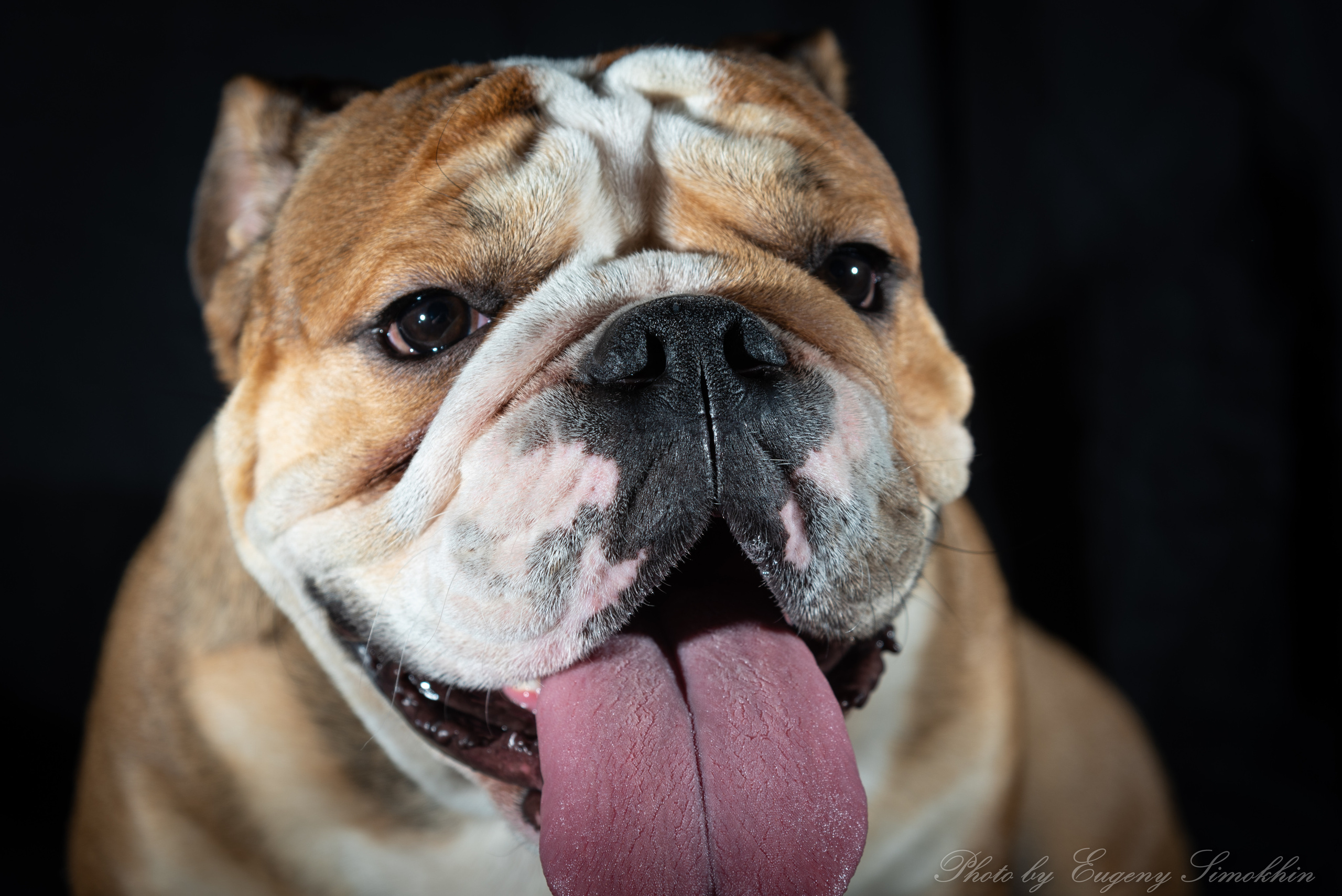 Шура. Фотограф Евгений Симохин