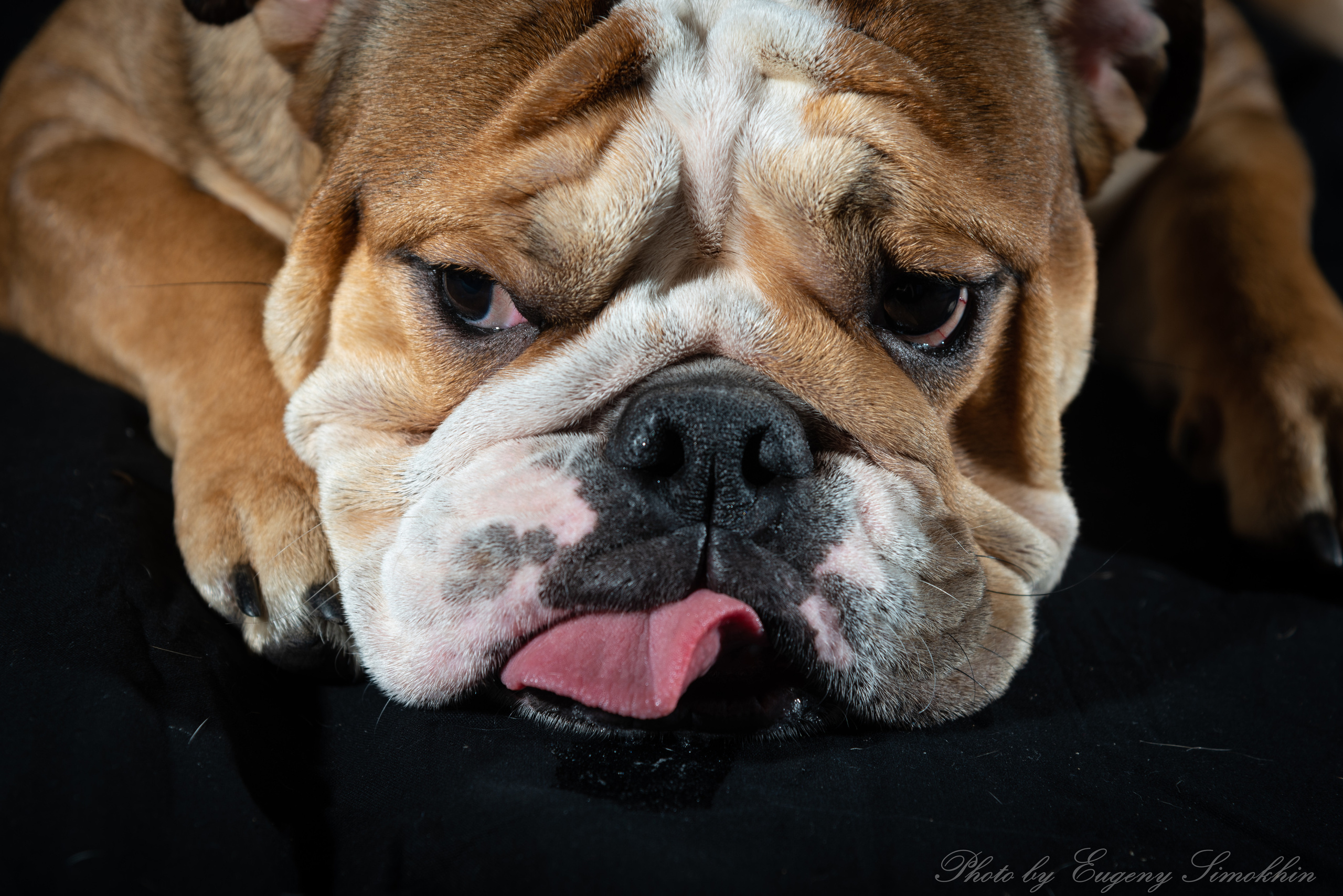 Шура. Фотограф Евгений Симохин