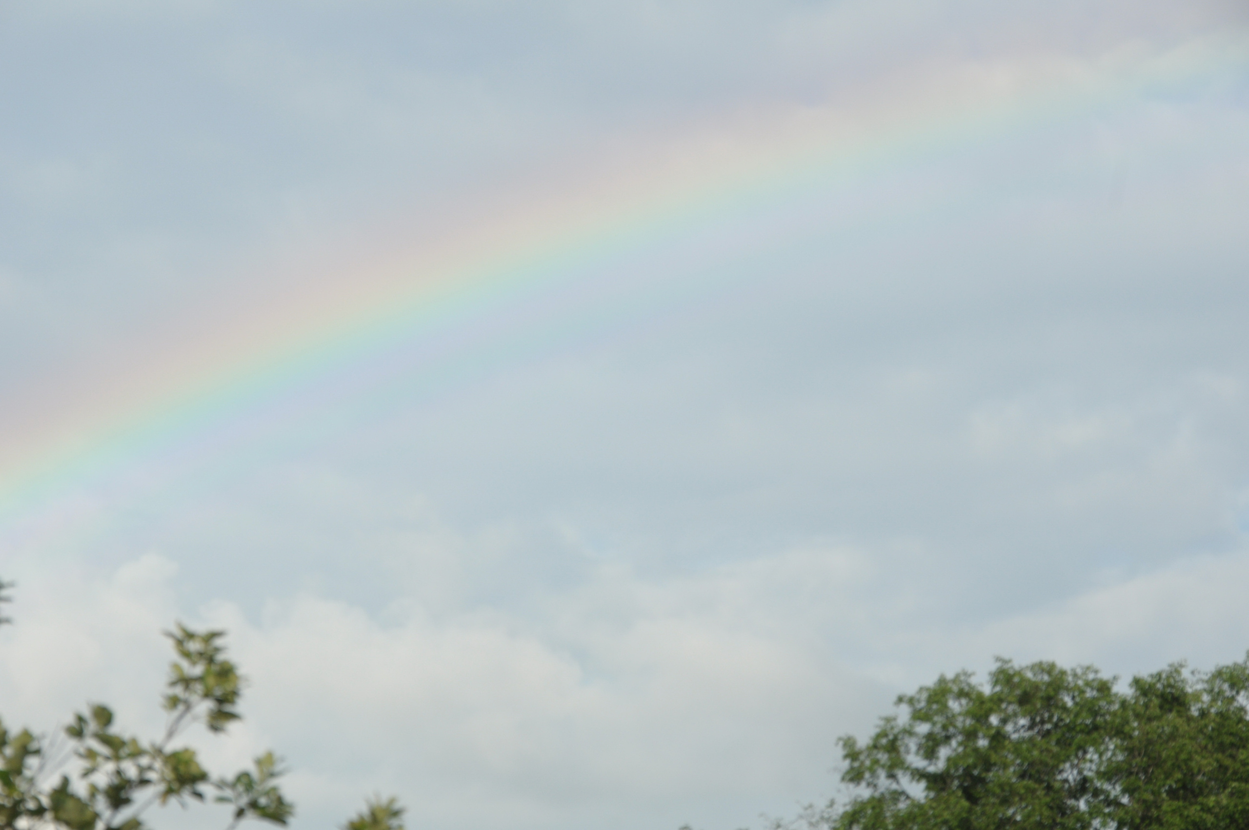 Космофест. Фотограф Евгений Симохин