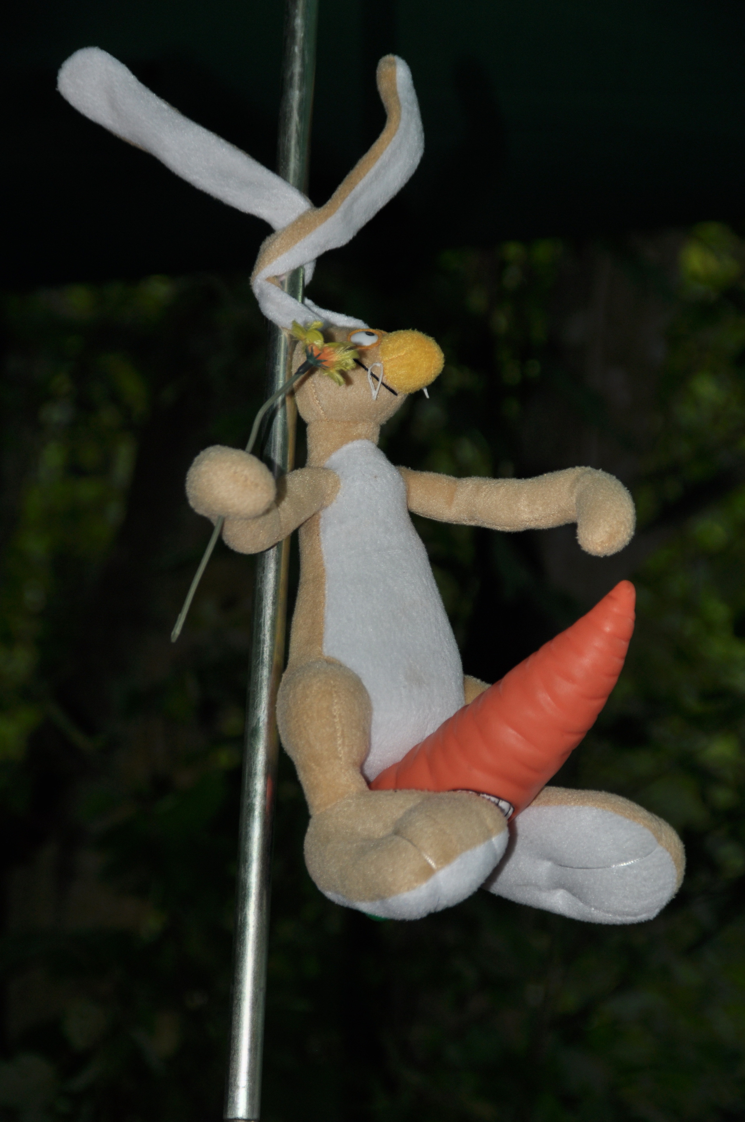 Космофест. Фотограф Евгений Симохин