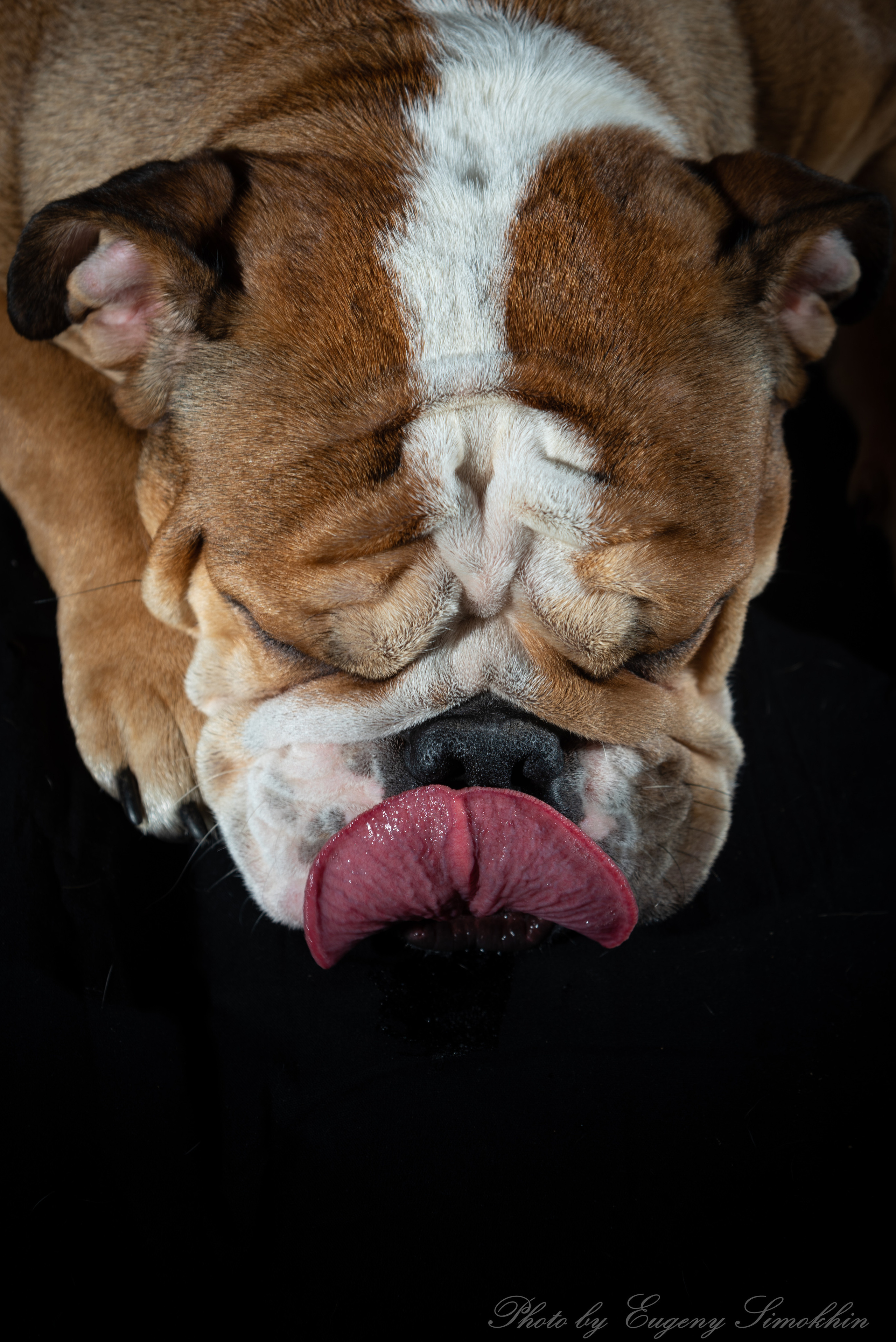 Шура. Фотограф Евгений Симохин