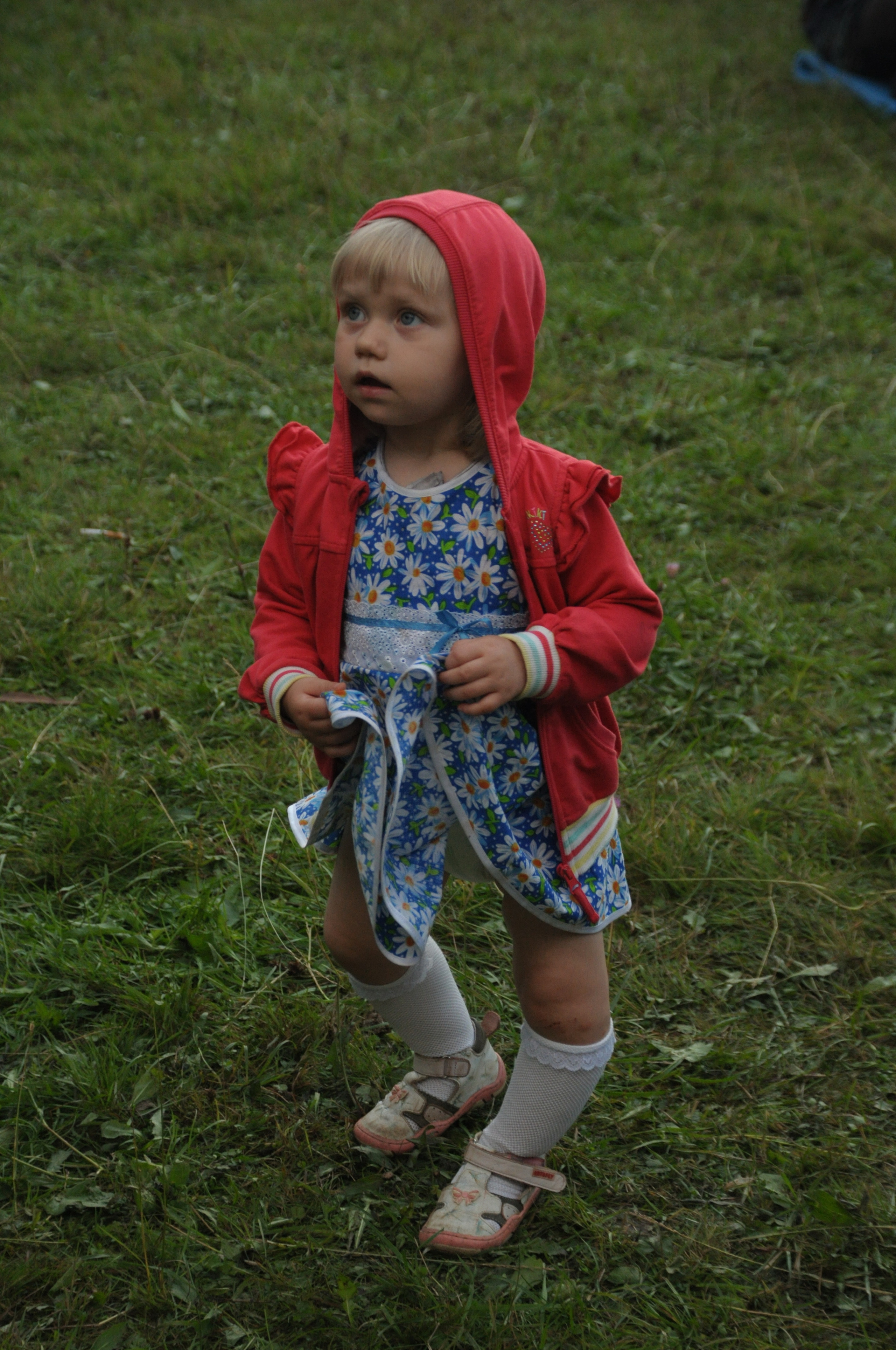 Космофест. Фотограф Евгений Симохин