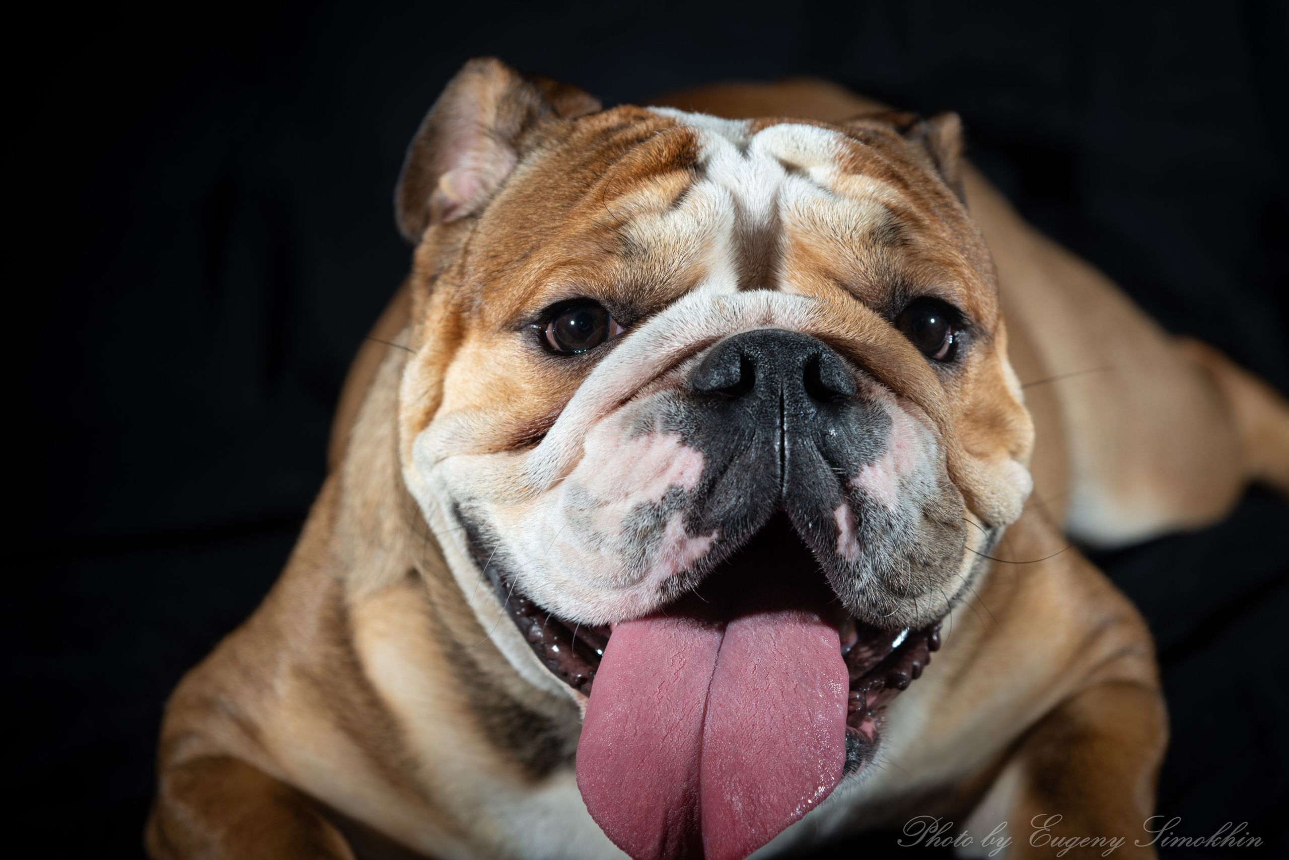 Шура. Фотограф Евгений Симохин