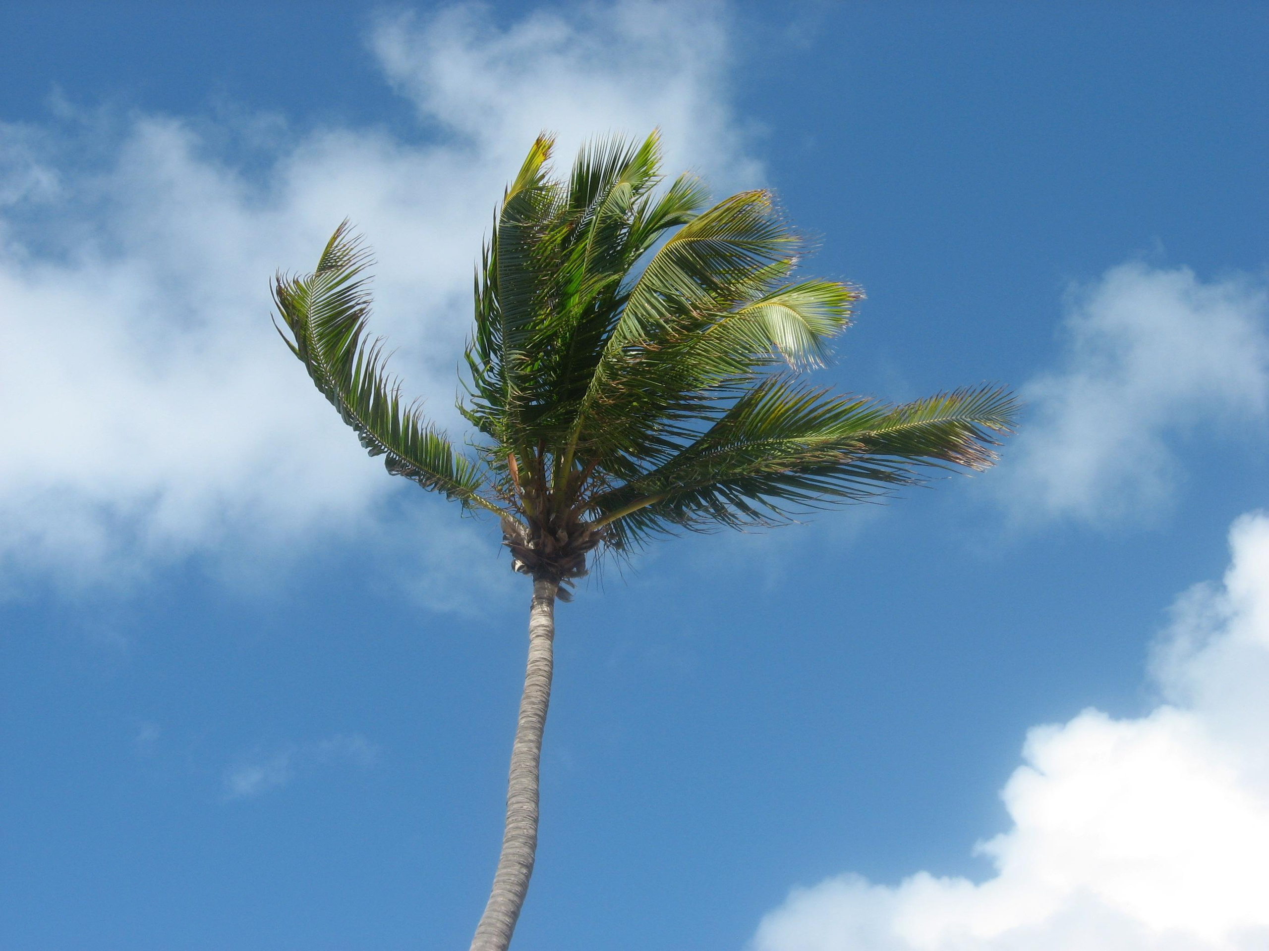 Доминикана