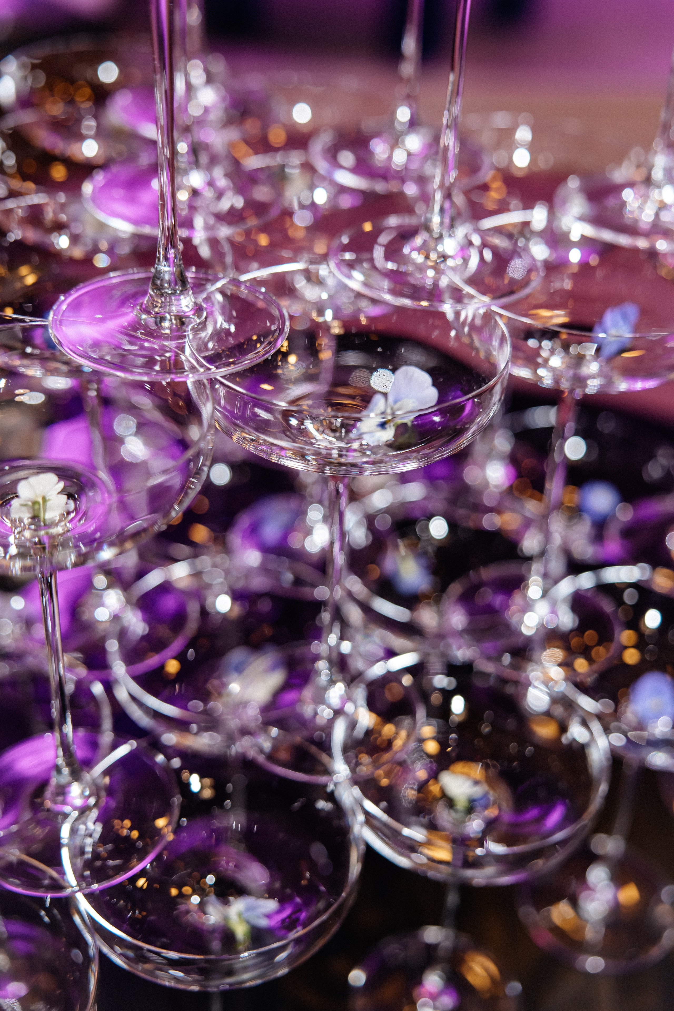 Корпоратив клуба Маме надо. Светлана Ванцлав — фотограф Минск, Беларусь