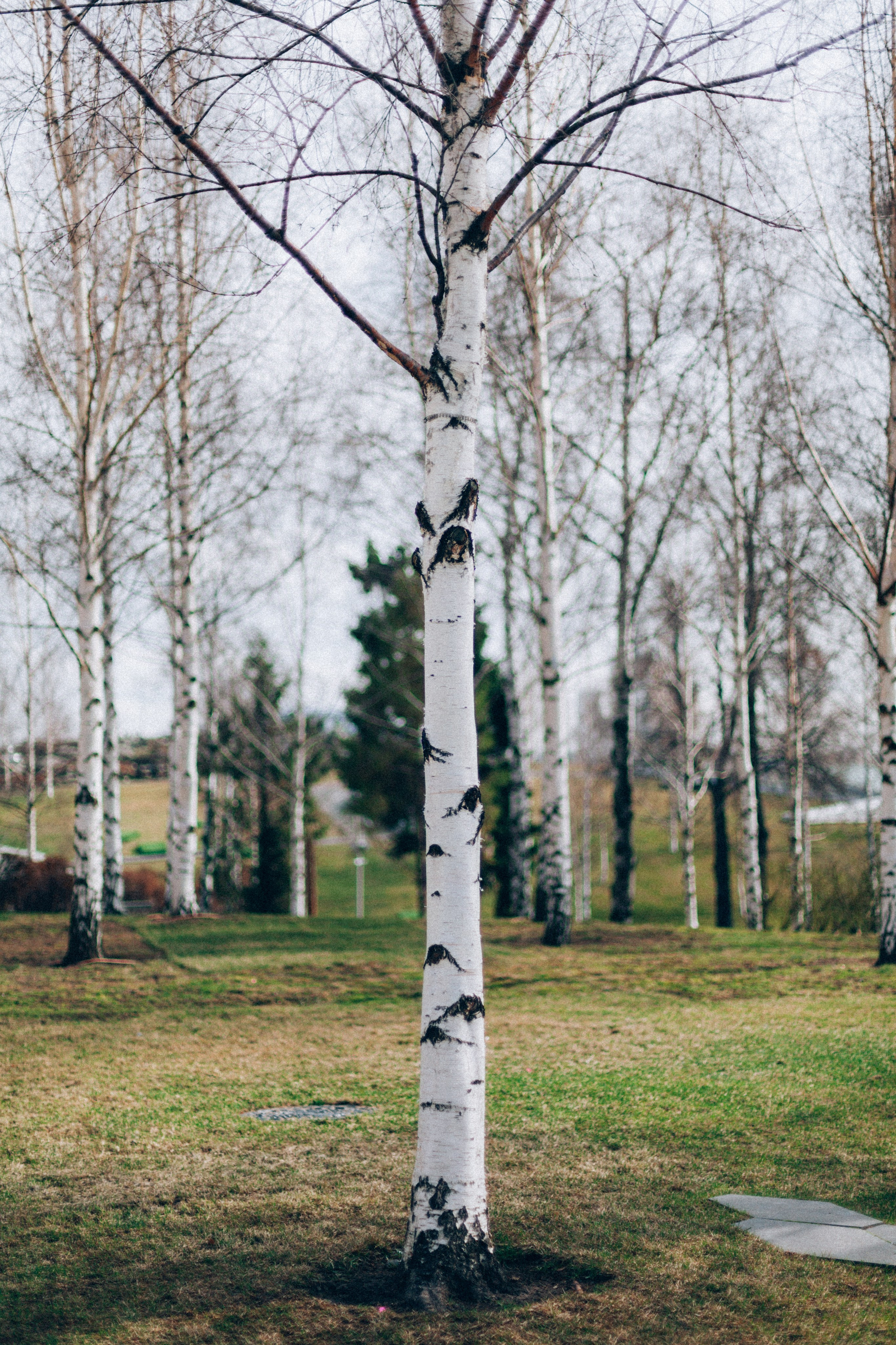 Москва. Аня Степанова