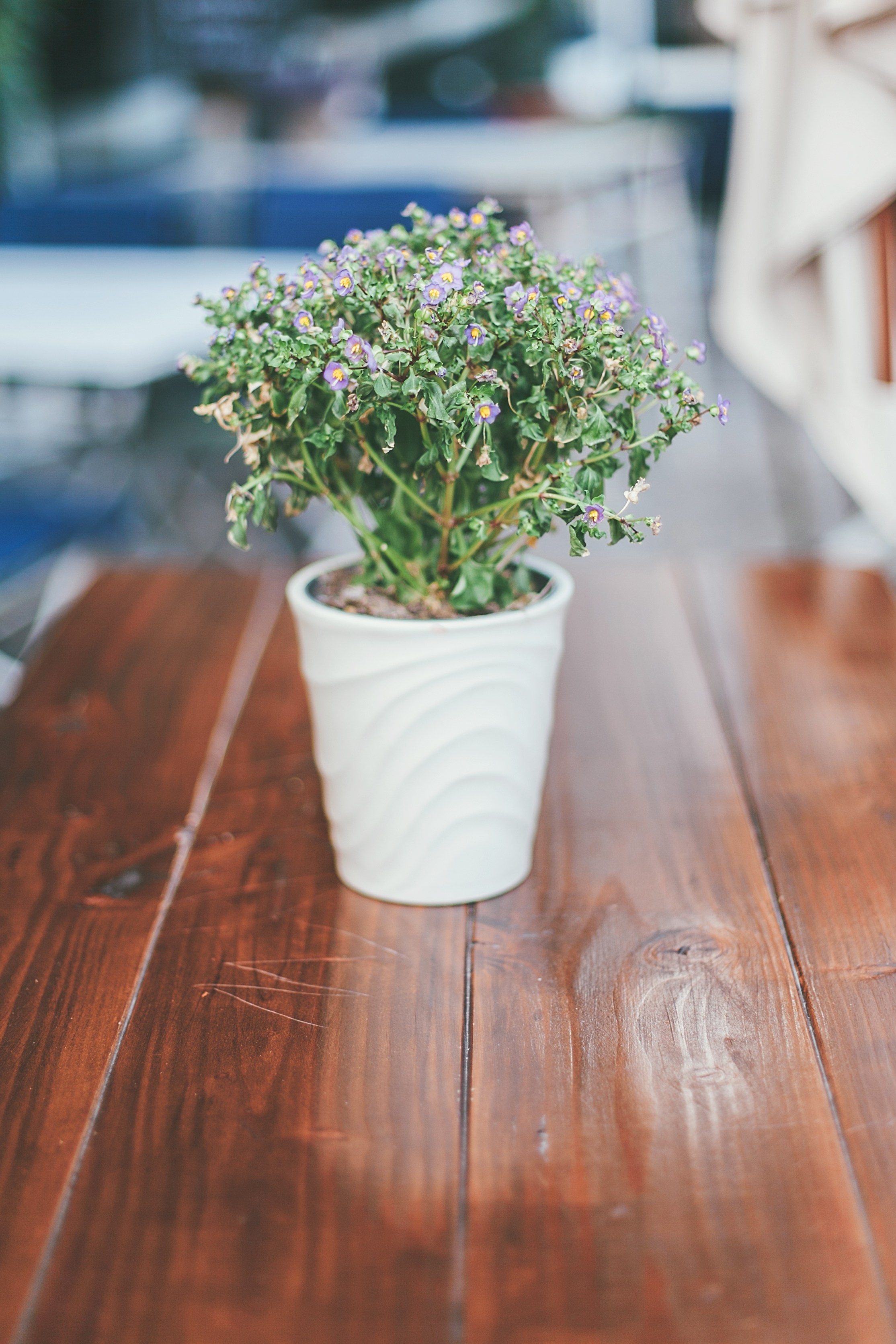 Берлин. Аня Степанова