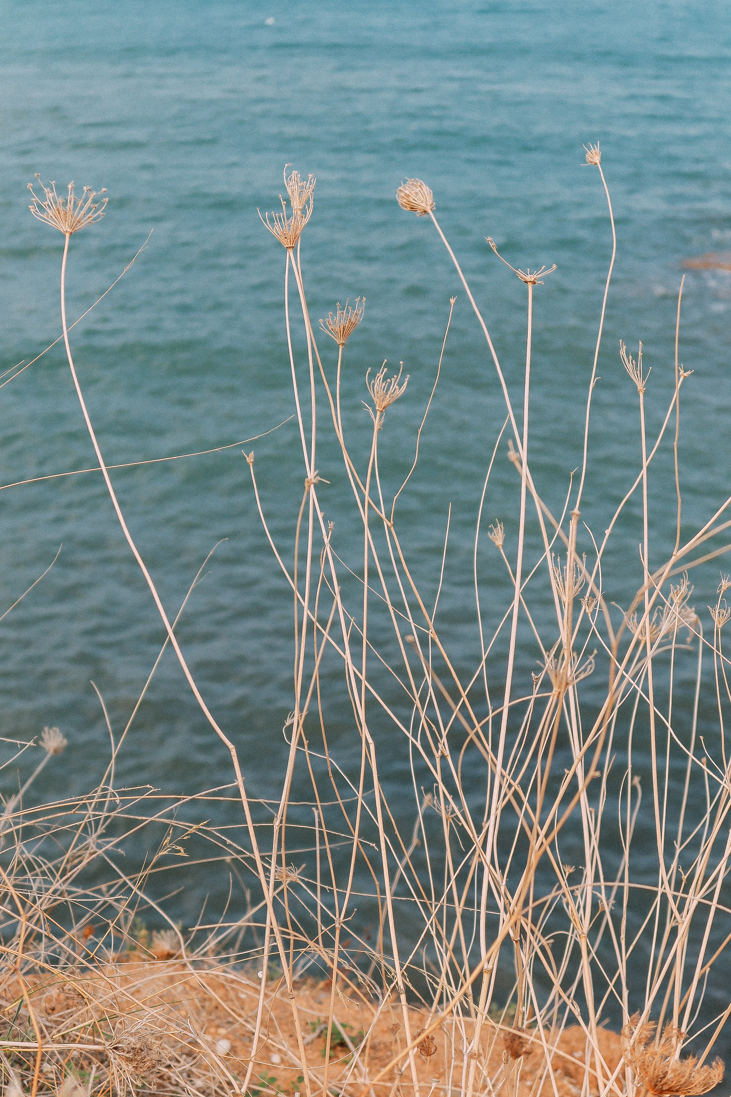 Крит. Аня Степанова